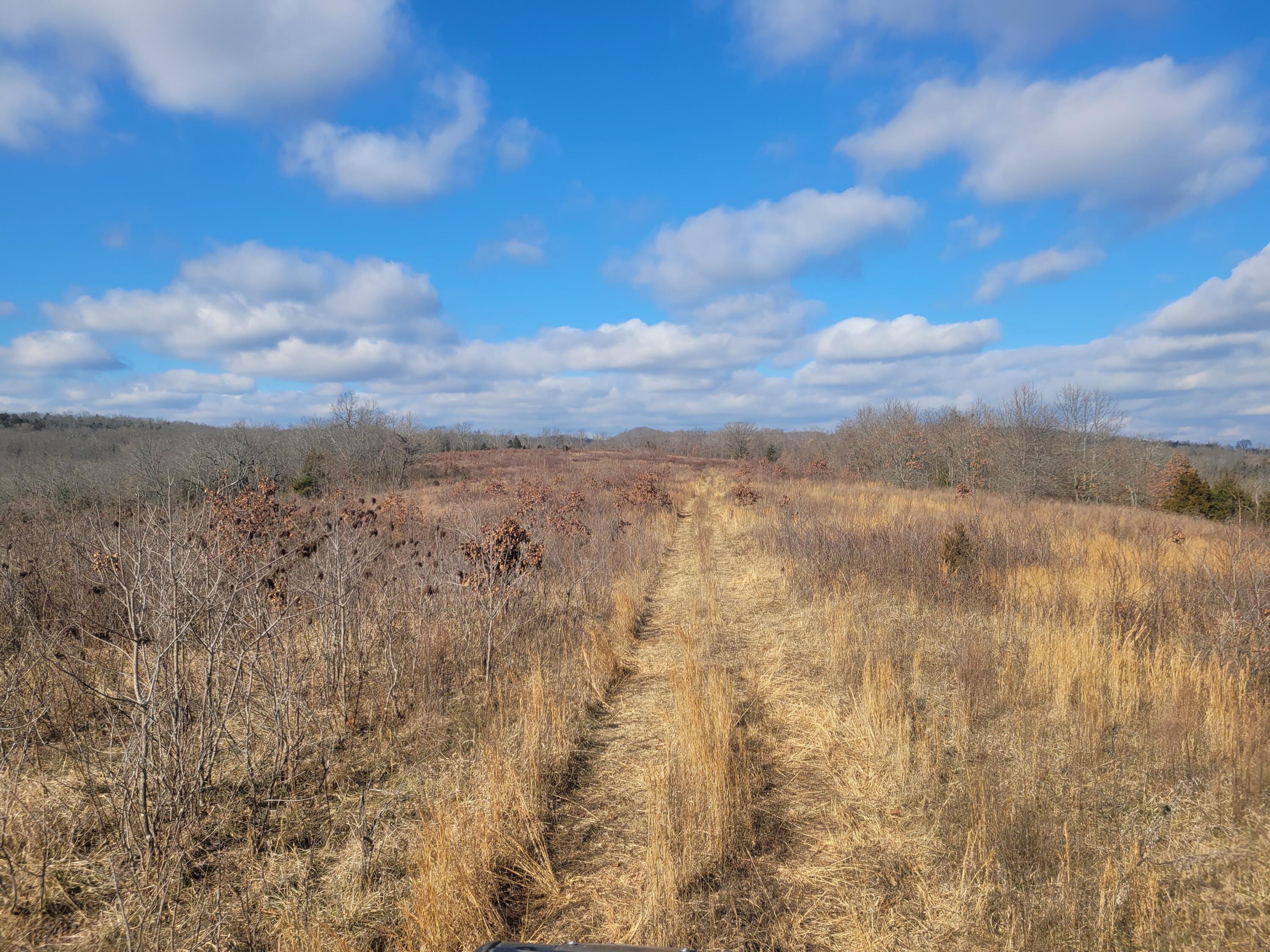 361 Hickory Flats Road Property Photo 27
