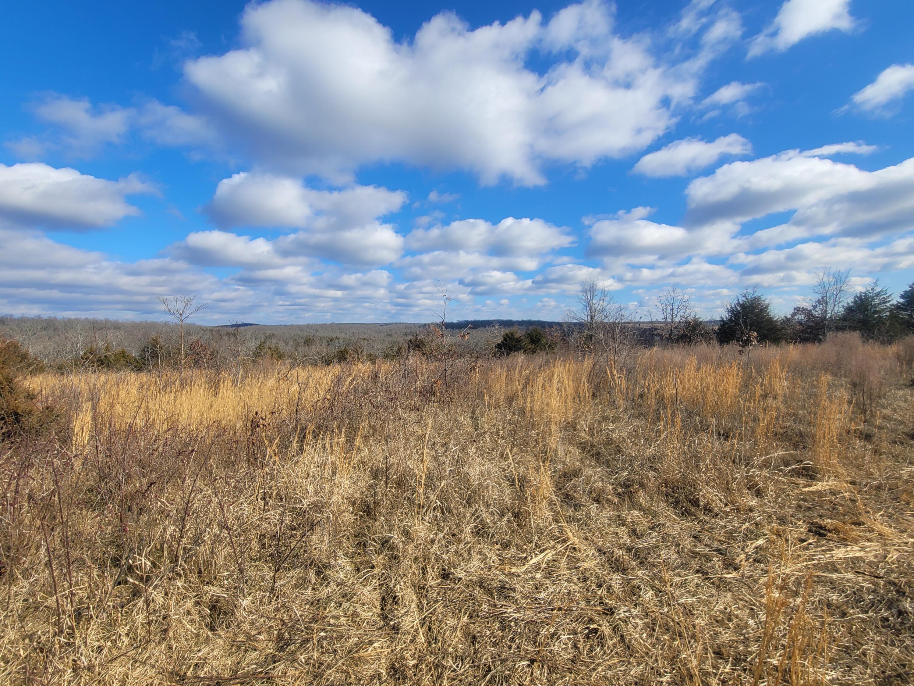 361 Hickory Flats Road Property Photo 29
