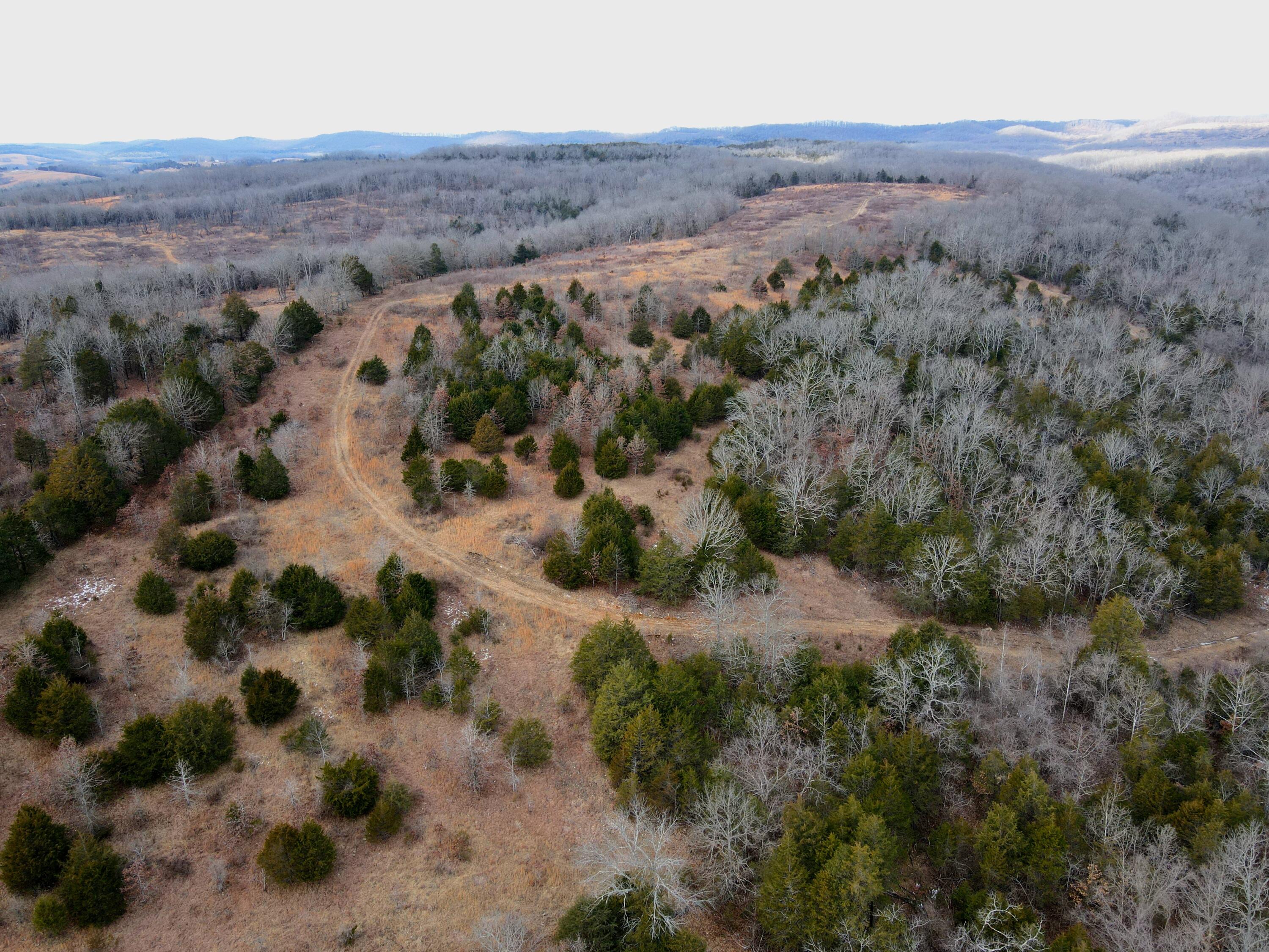 361 Hickory Flats Road Property Photo 38