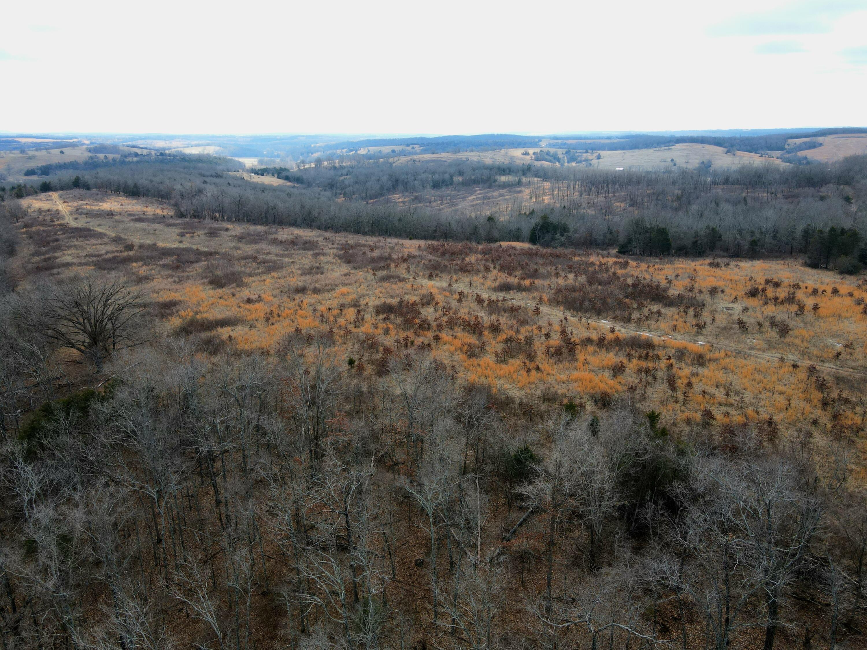 361 Hickory Flats Road Property Photo 41