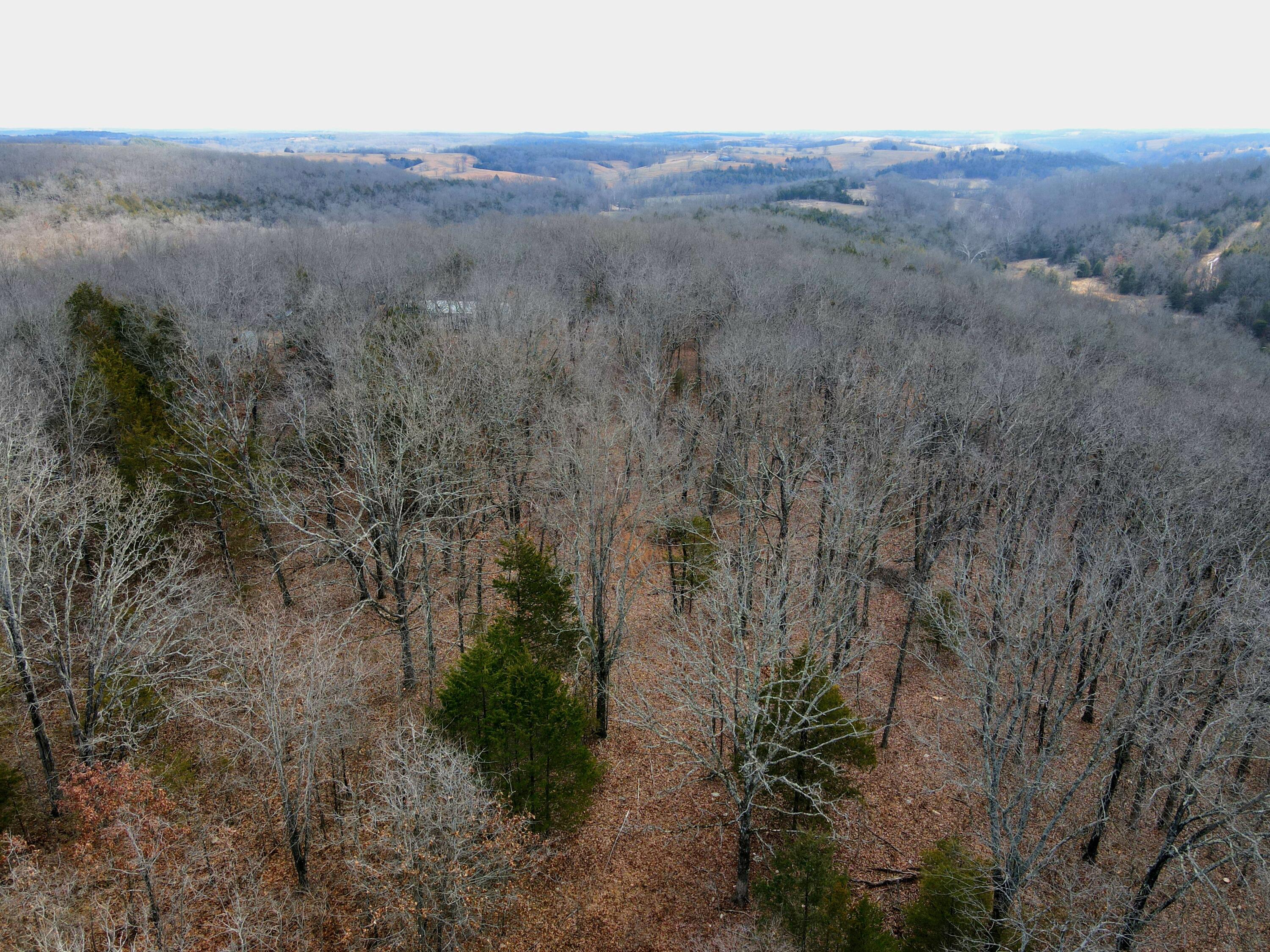 361 Hickory Flats Road Property Photo 44