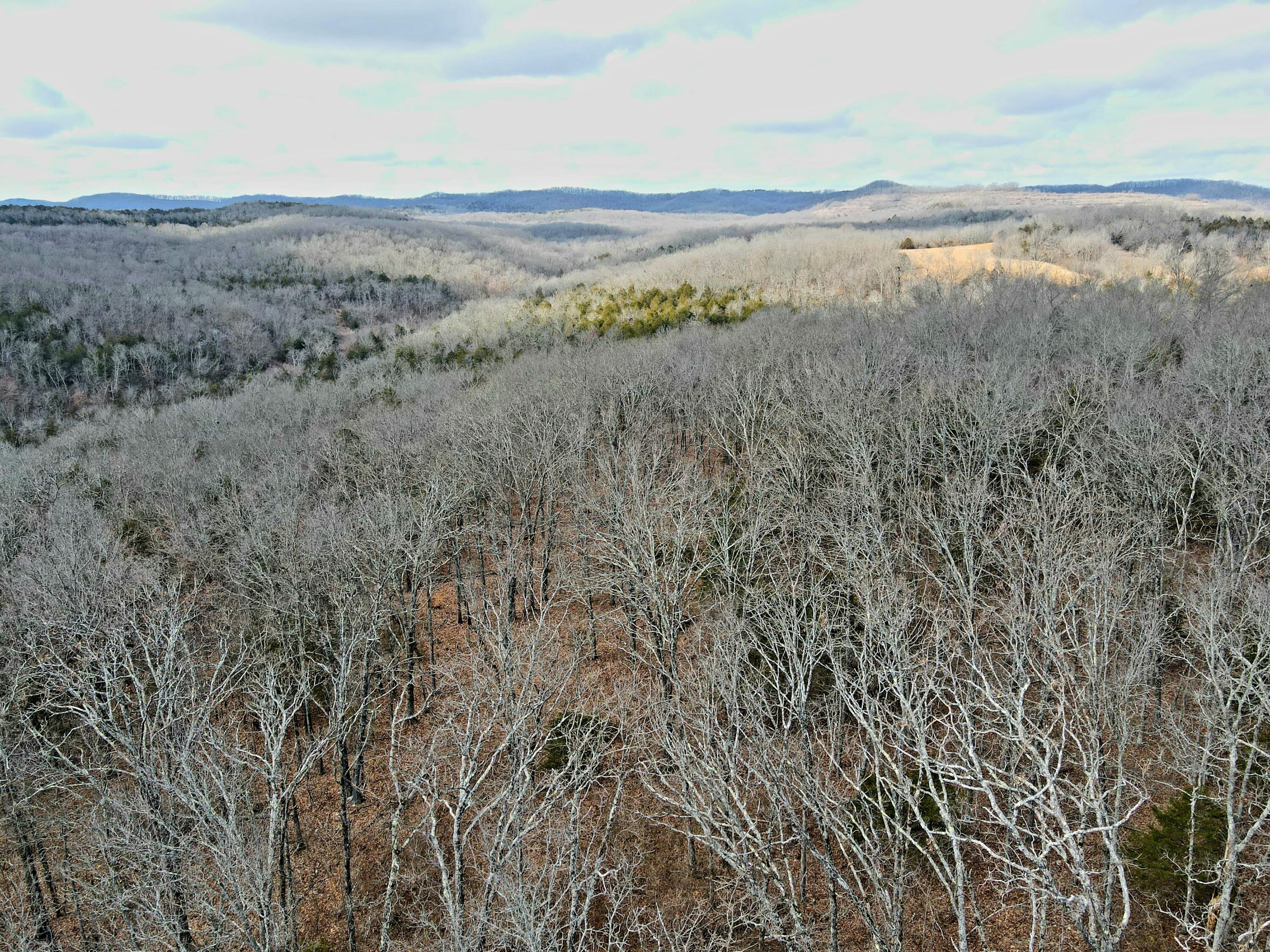 361 Hickory Flats Road Property Photo 45