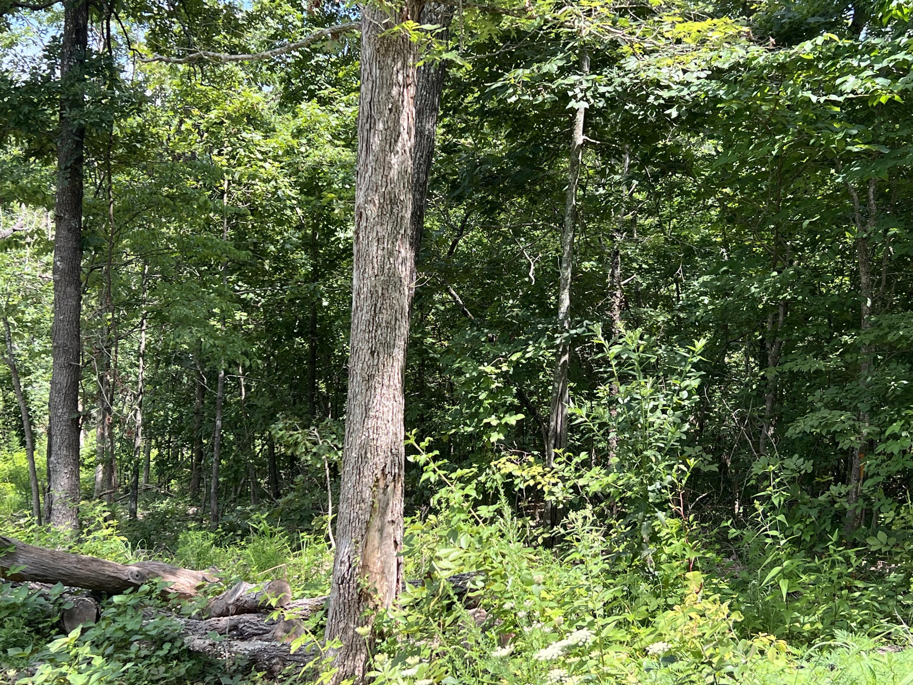 Lot 45 Pr Ridge Haven Property Photo 1