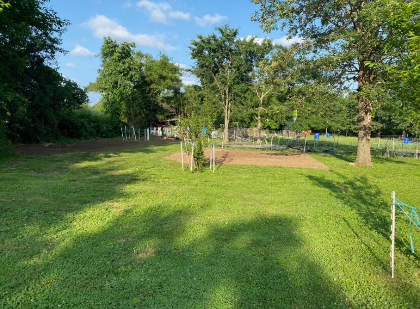 2086 County Road 137 Property Photo 43