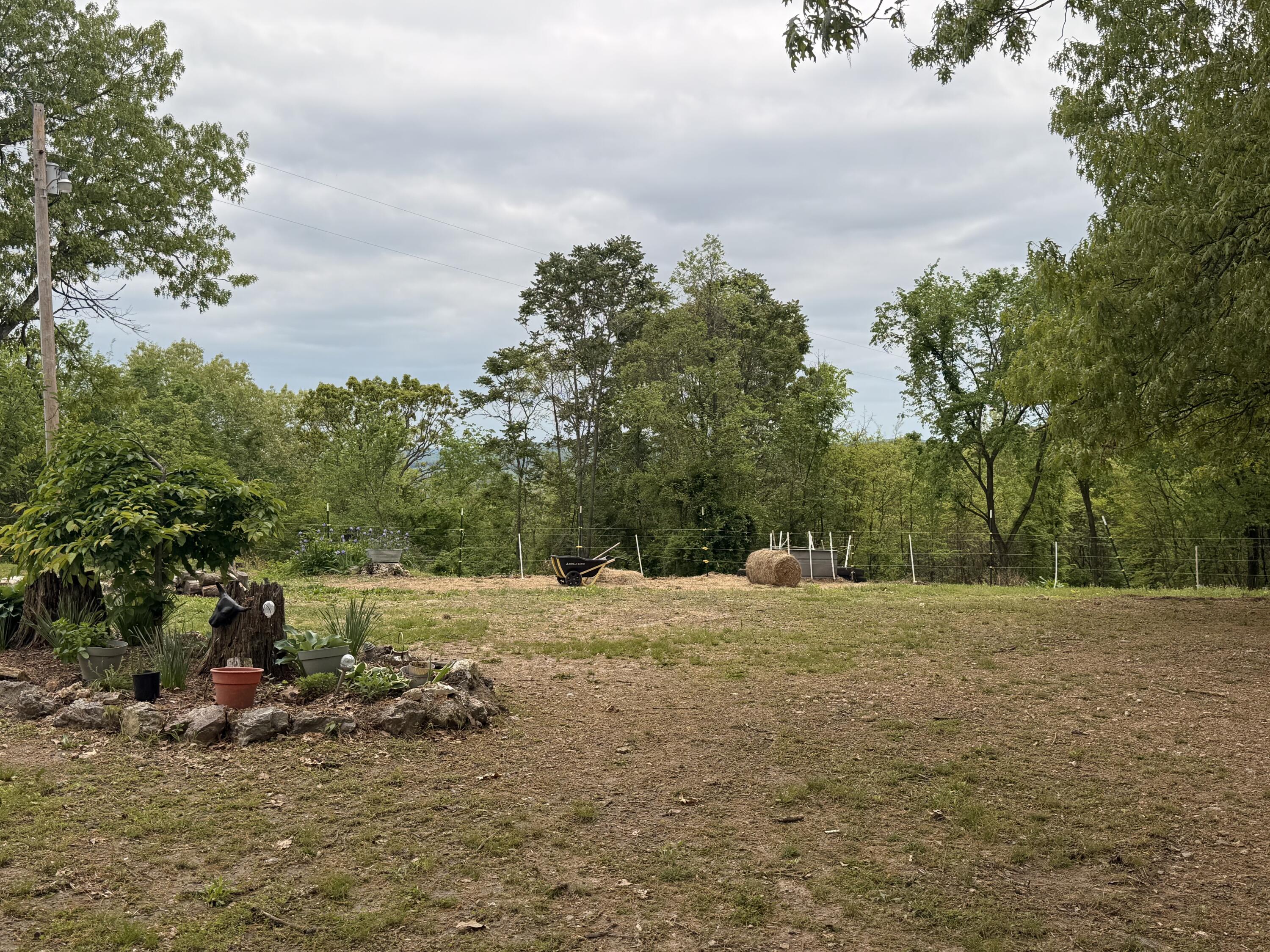 2086 County Road 137 Property Photo 57