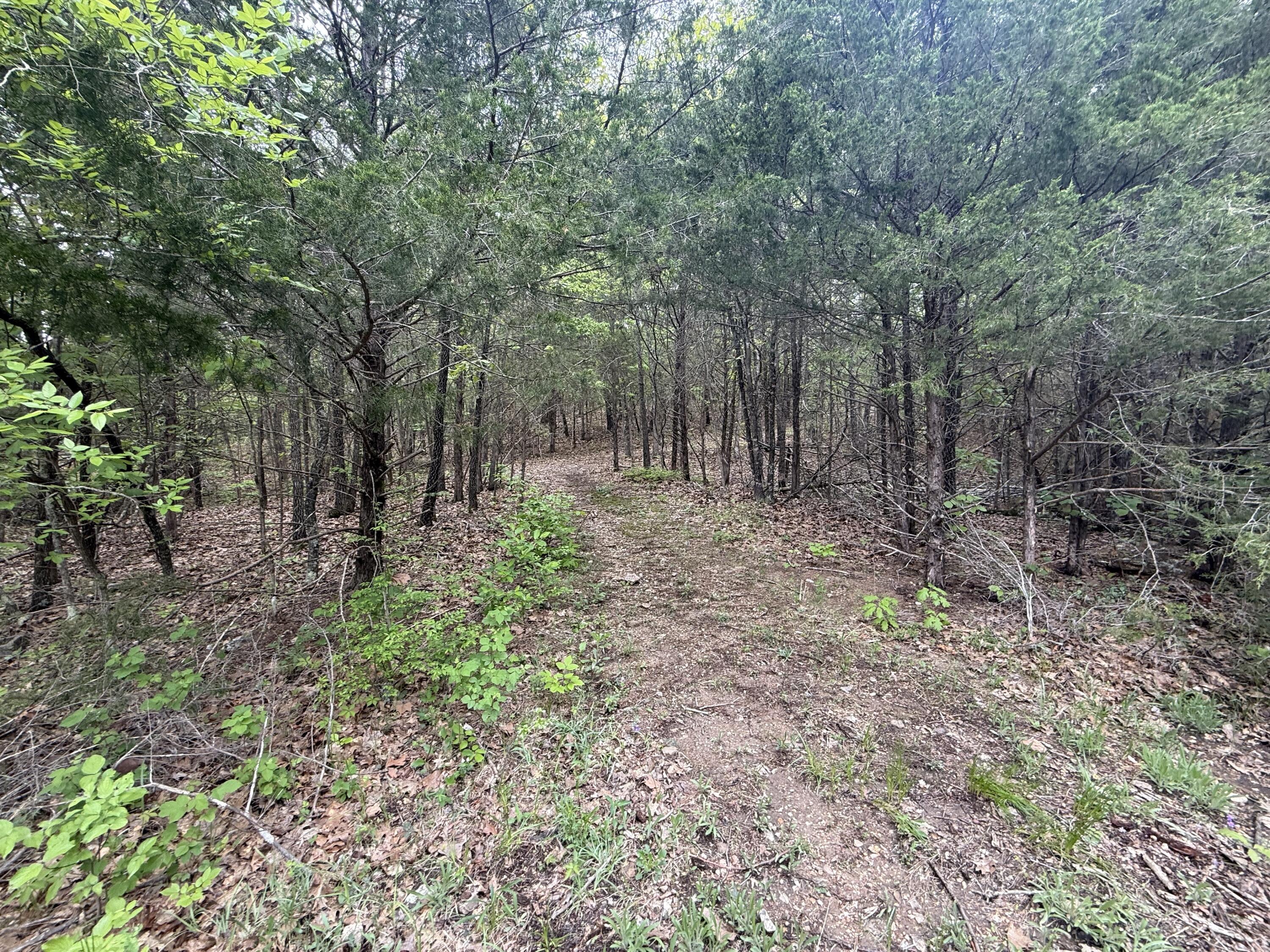 2086 County Road 137 Property Photo 67
