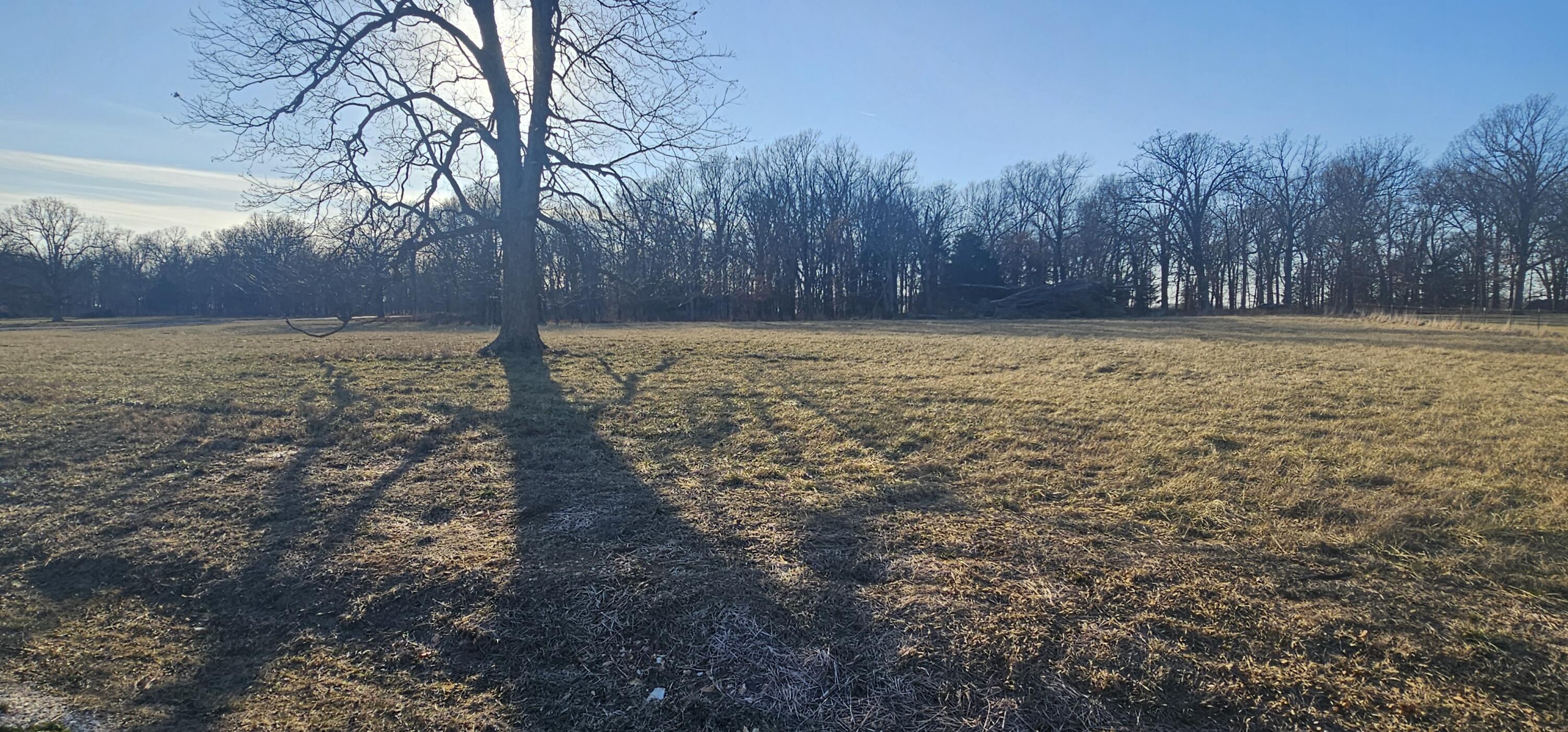 3ac North Gracie Lane Property Photo 1