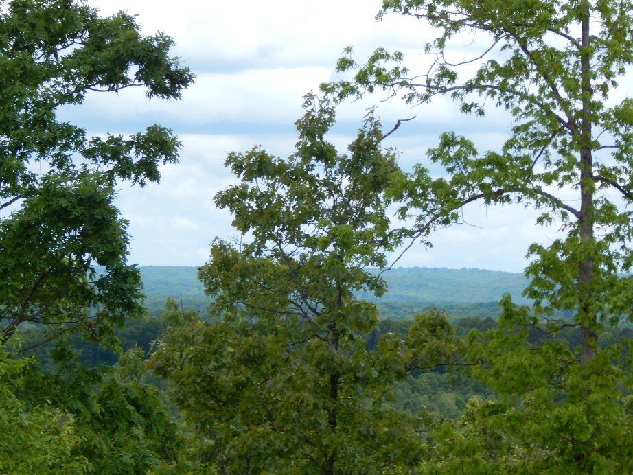 000 State Highway C Property Photo 33