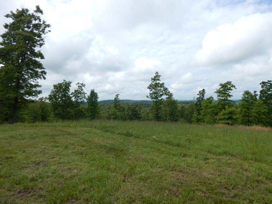 000 State Highway C Property Photo 40