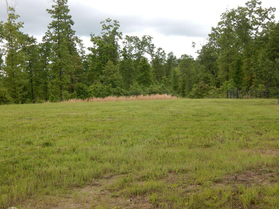 000 State Highway C Property Photo 41