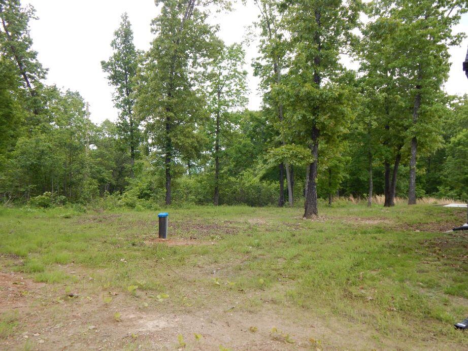 000 State Highway C Property Photo 43