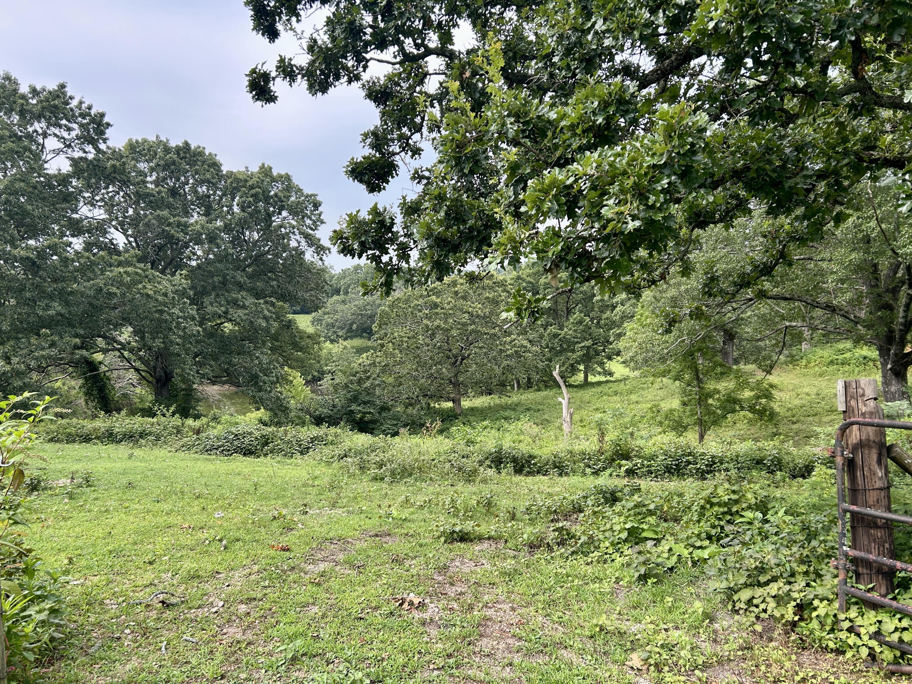 14776 State Highway Ff Property Photo 23