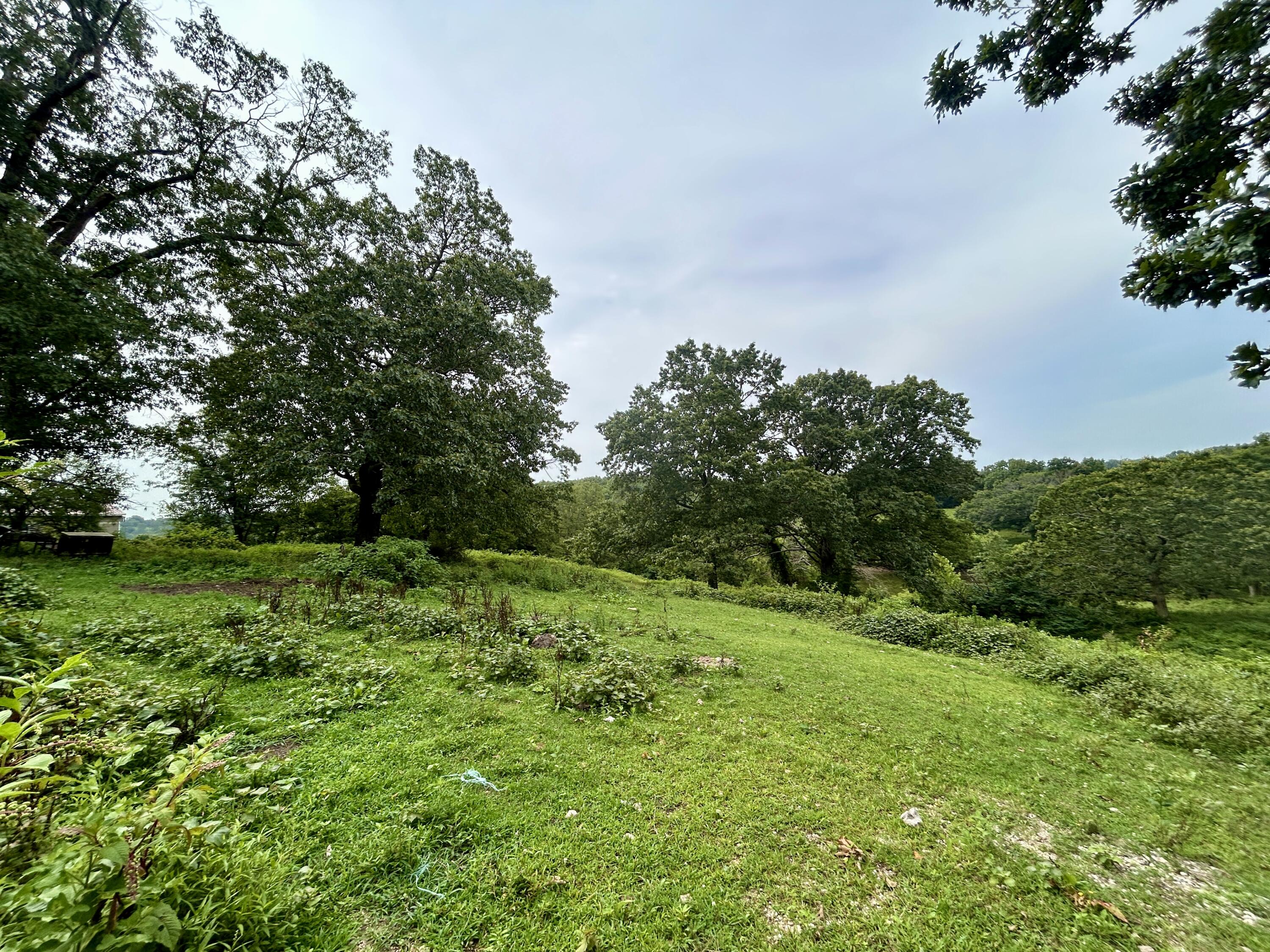 14776 State Highway Ff Property Photo 24