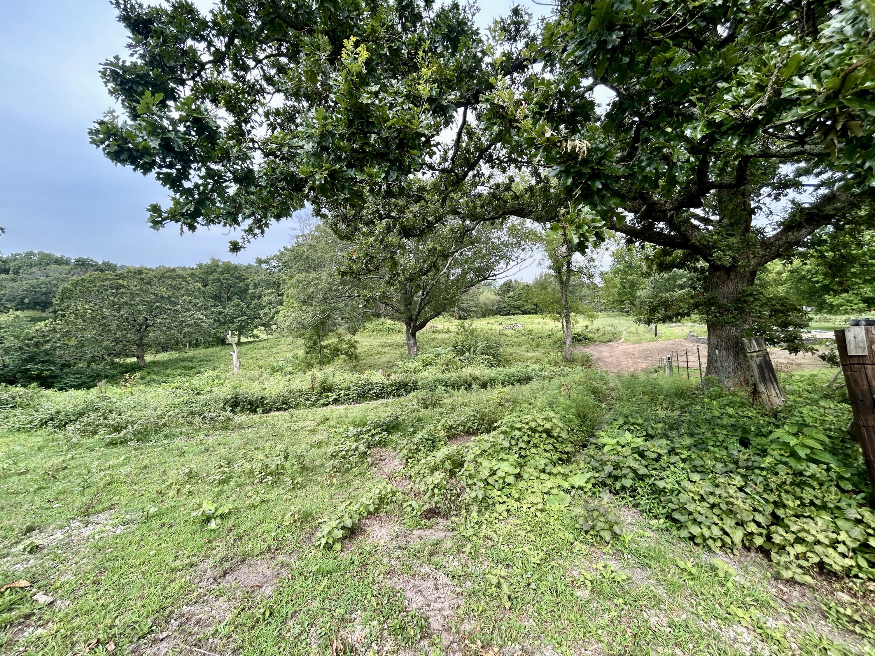 14776 State Highway Ff Property Photo 25