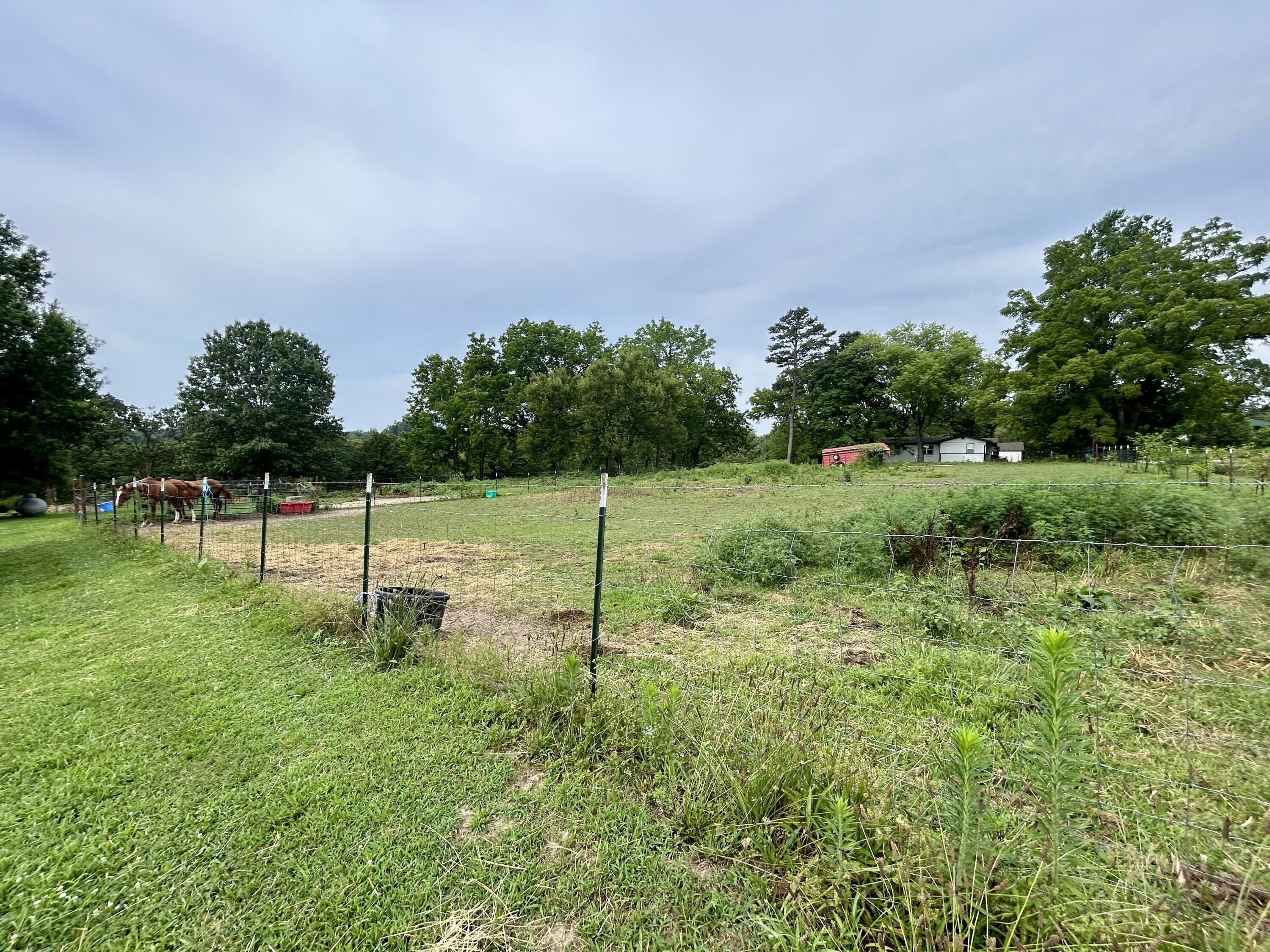14776 State Highway Ff Property Photo 29
