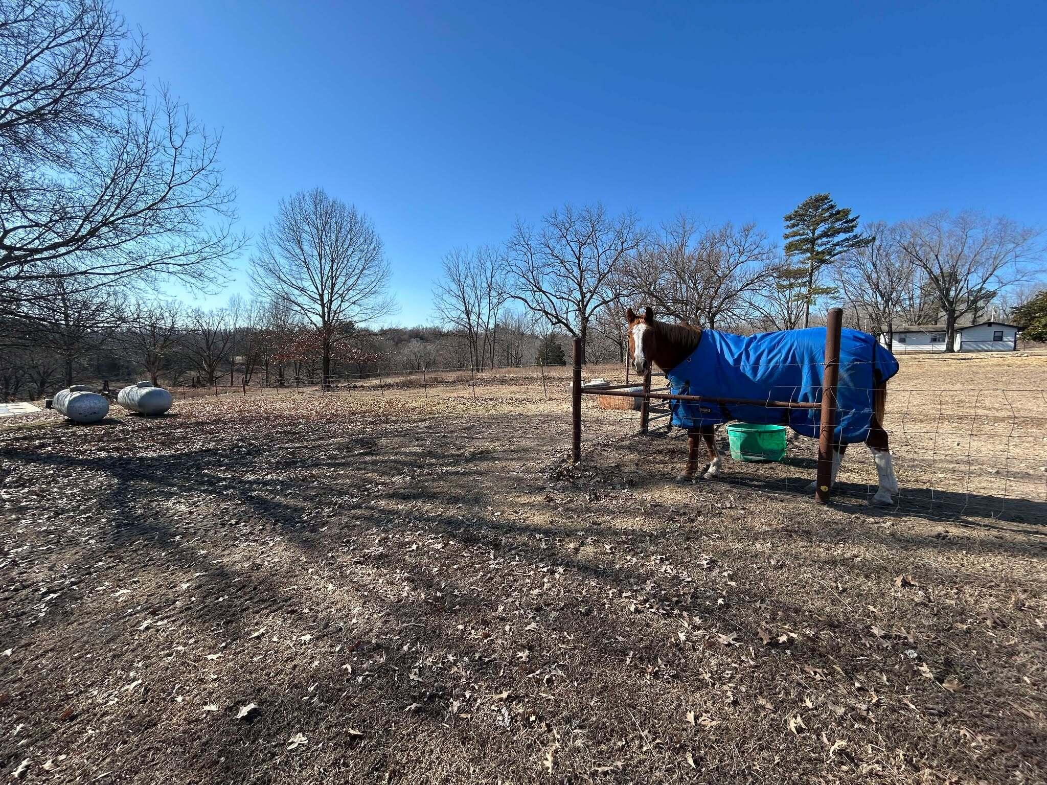 14776 State Highway Ff Property Photo 30