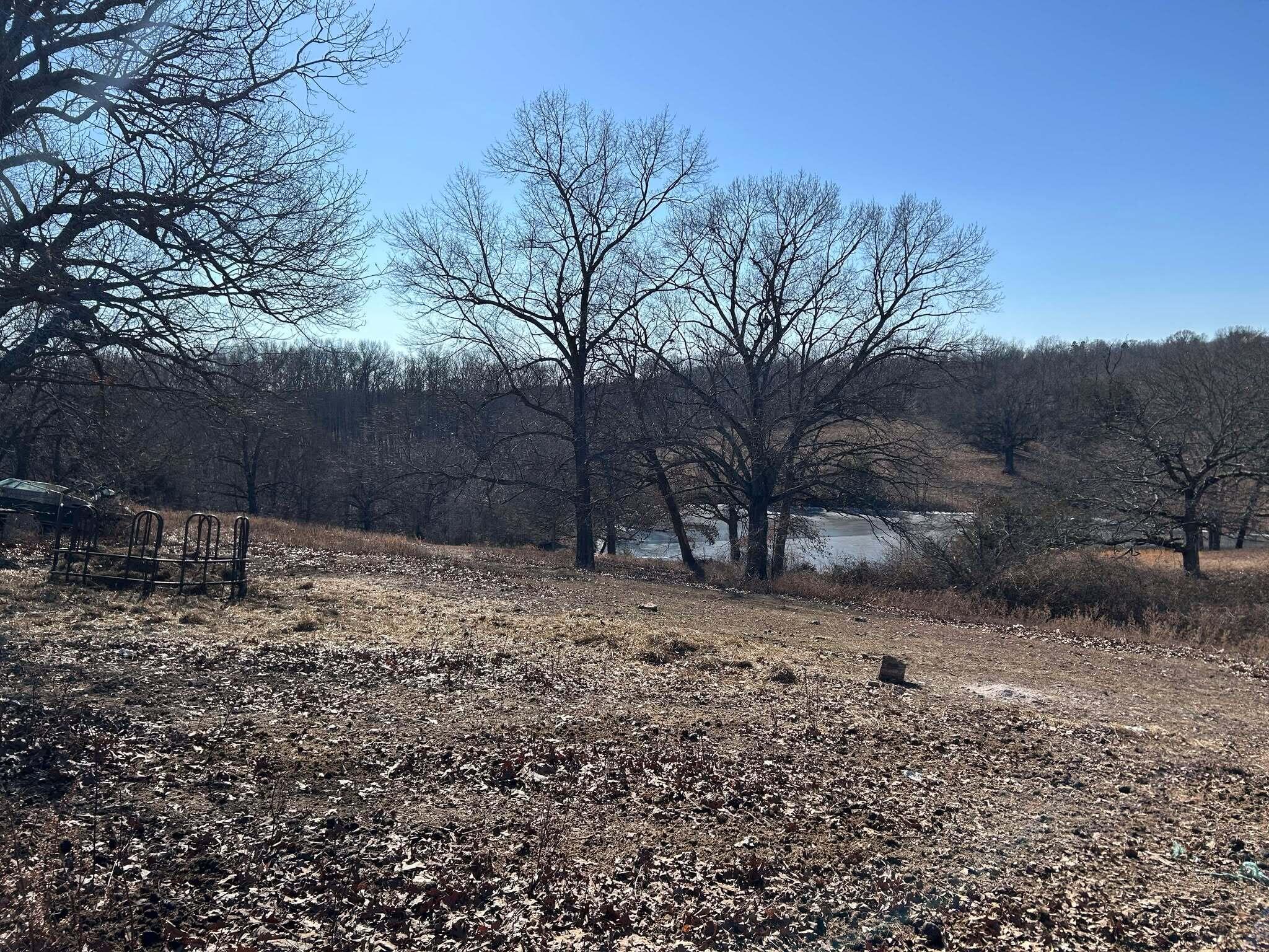 14776 State Highway Ff Property Photo 33
