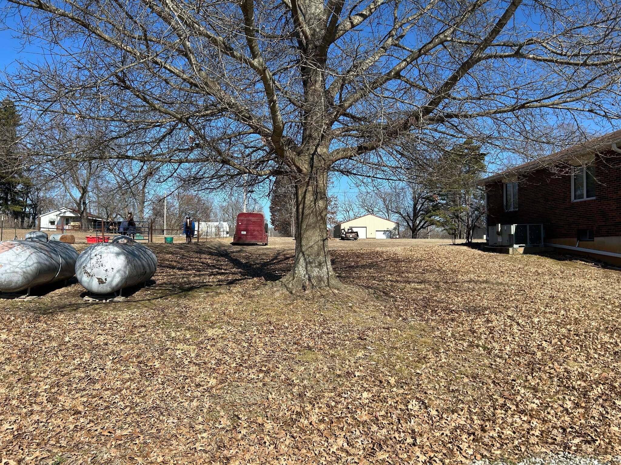 14776 State Highway Ff Property Photo 39