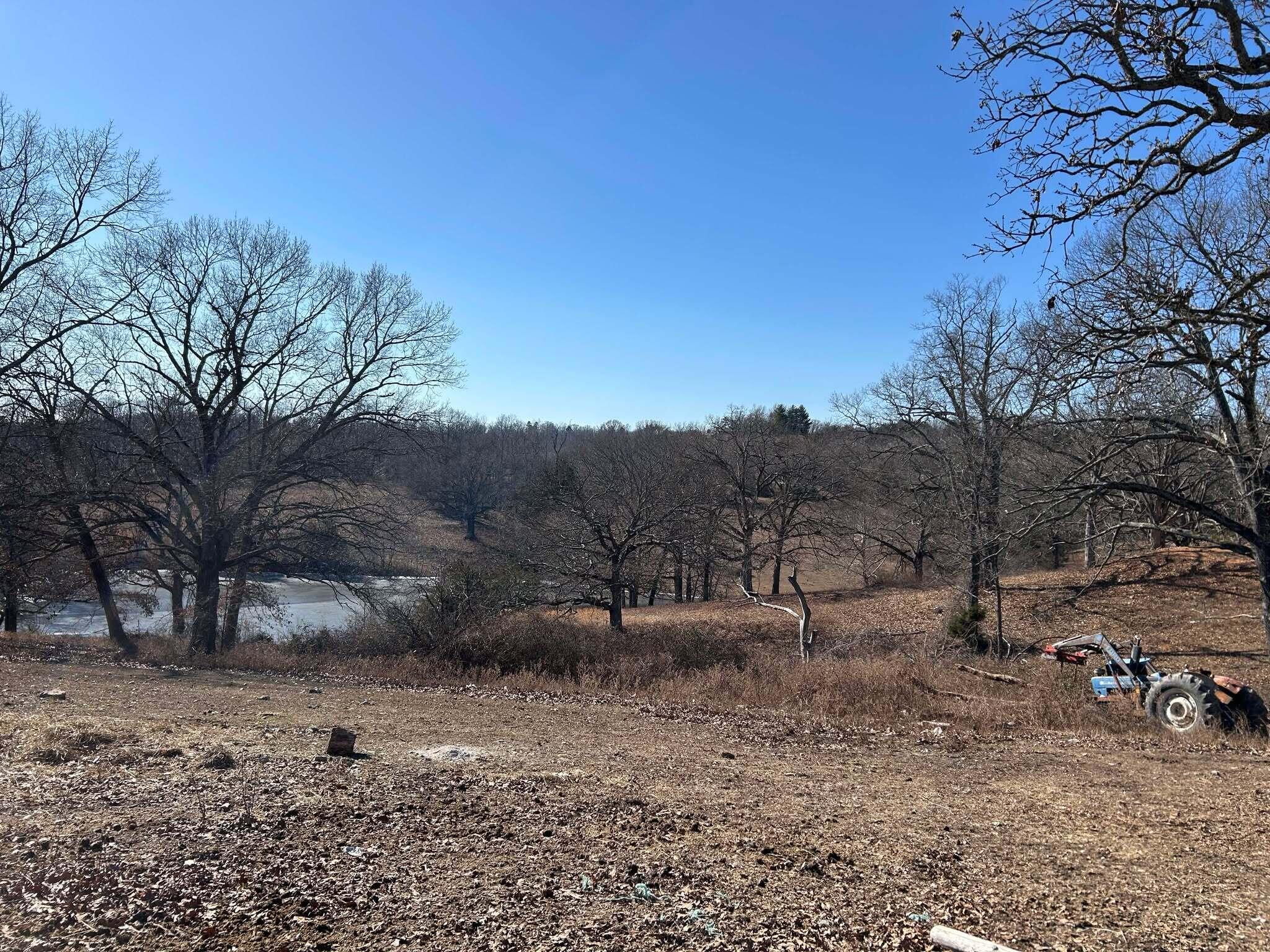 14776 State Highway Ff Property Photo 40