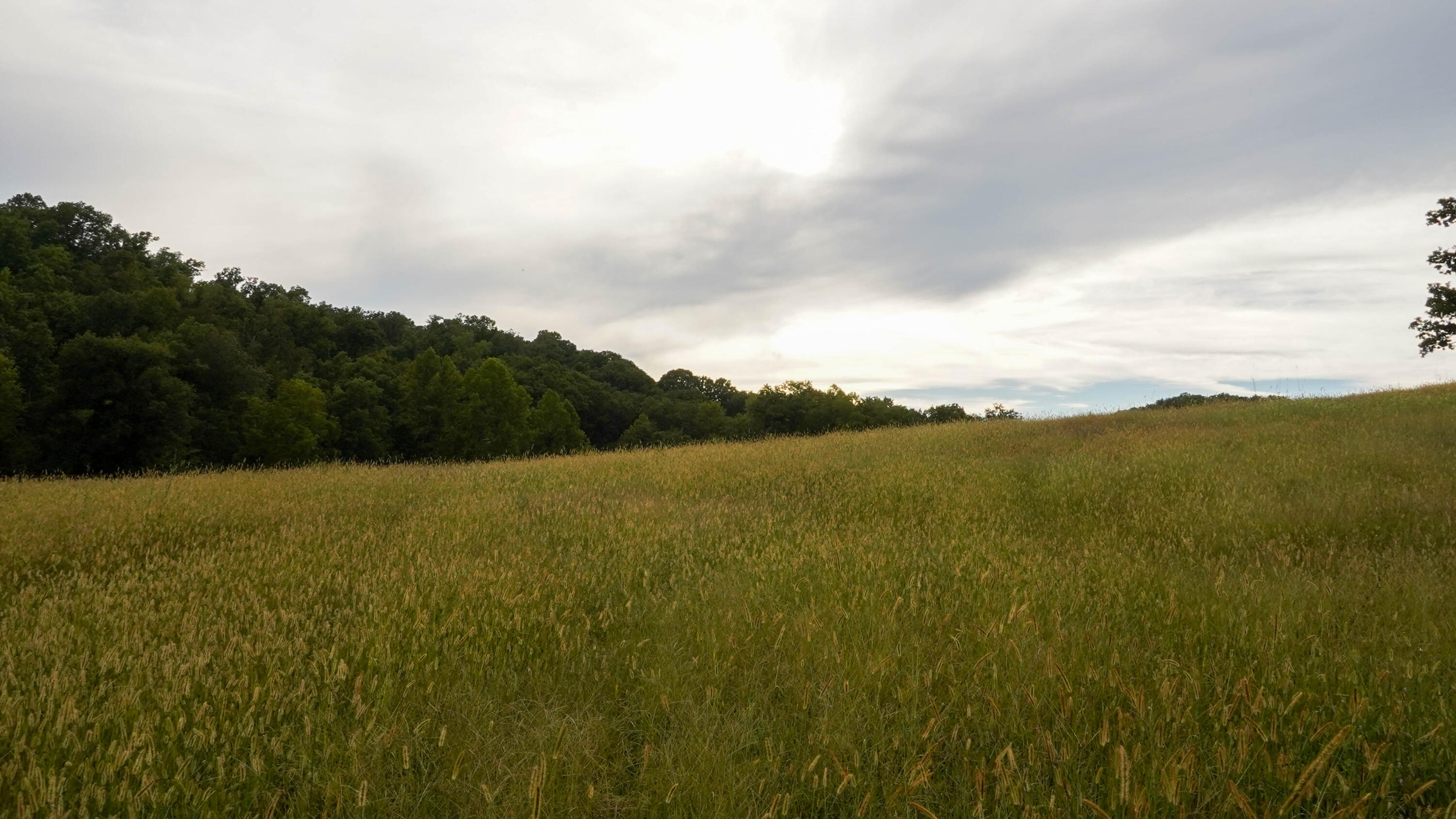 000 N State Highway 7 Property Photo 15