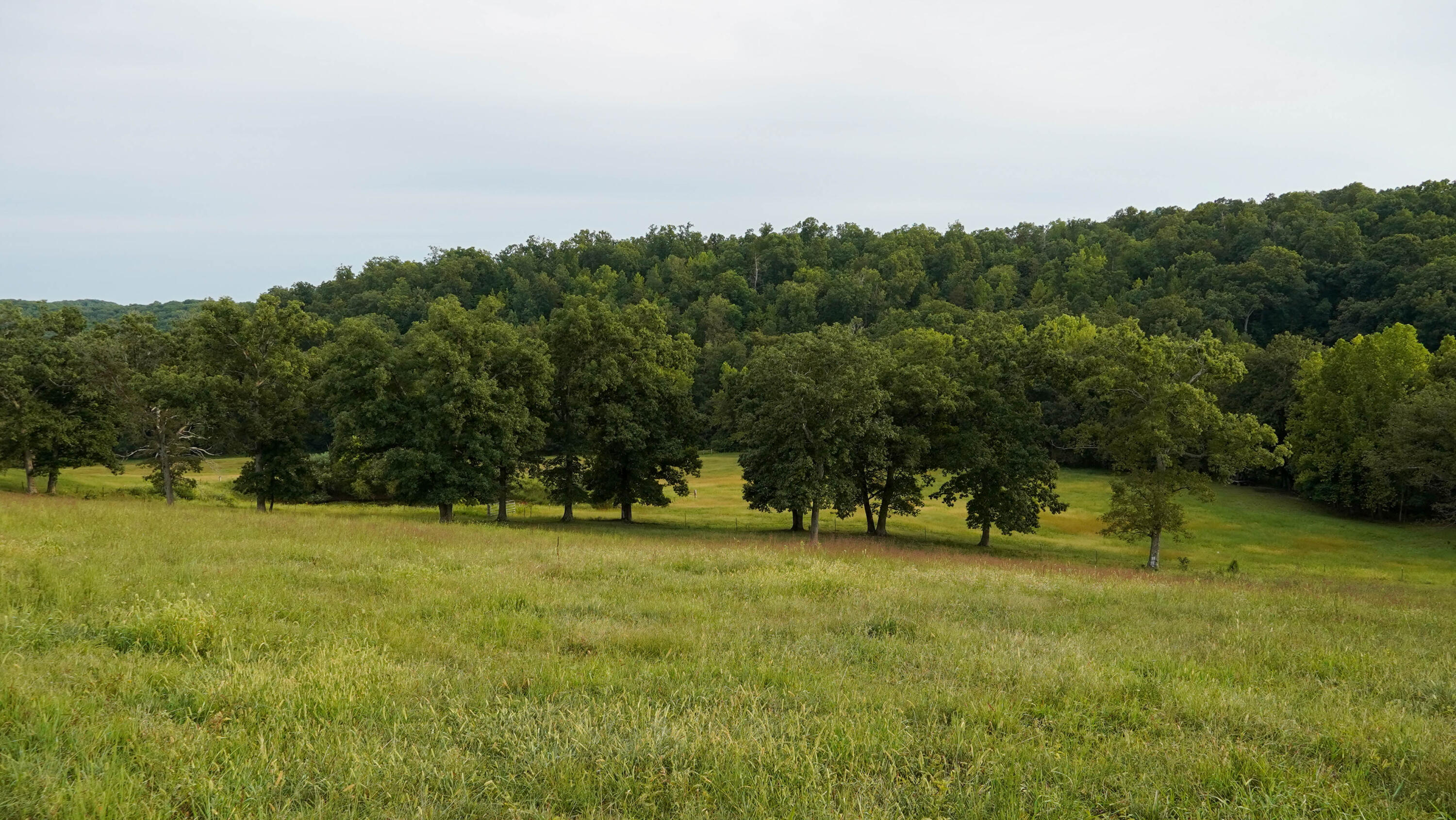000 N State Highway 7 Property Photo 16