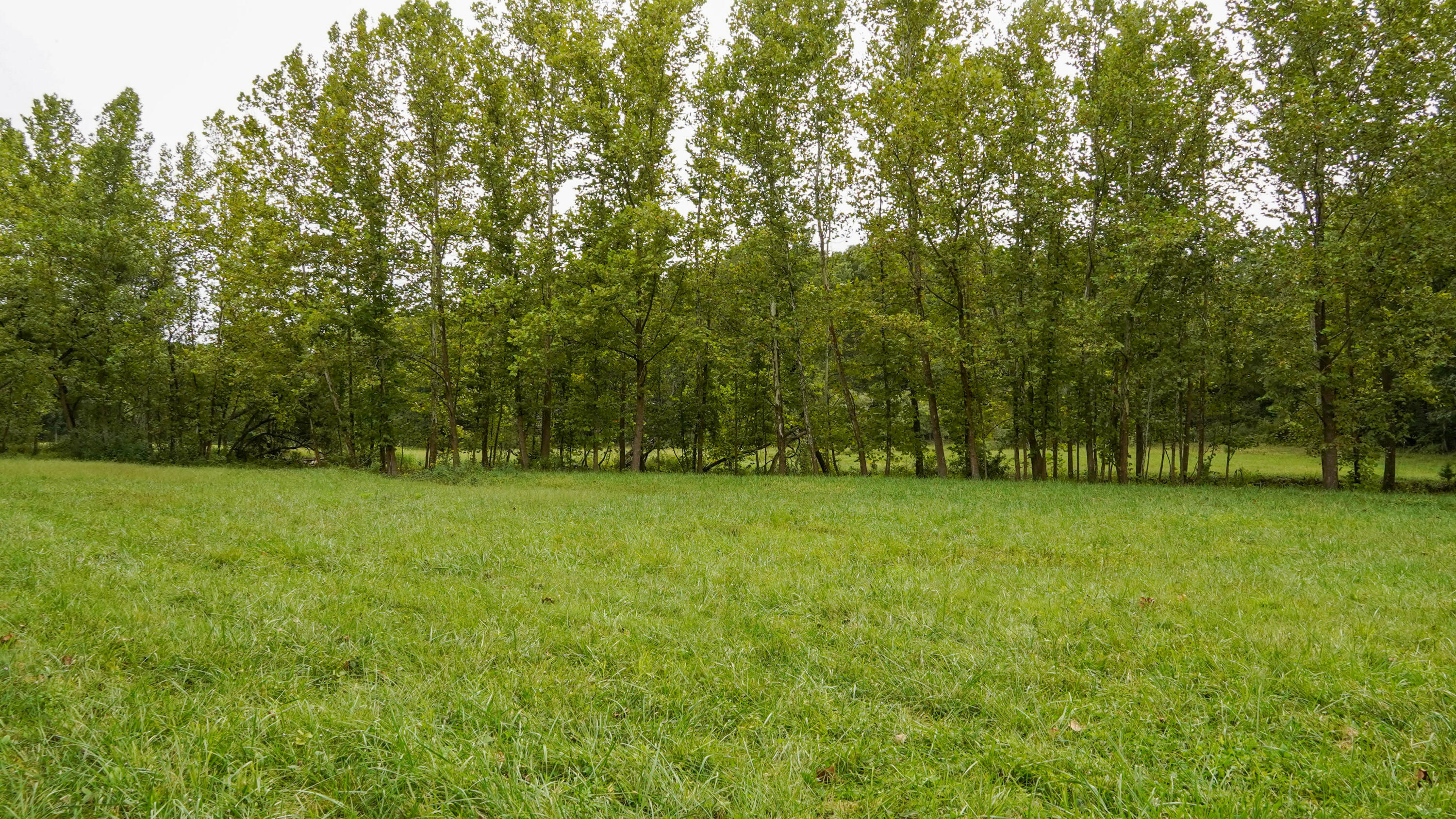 000 N State Highway 7 Property Photo 29