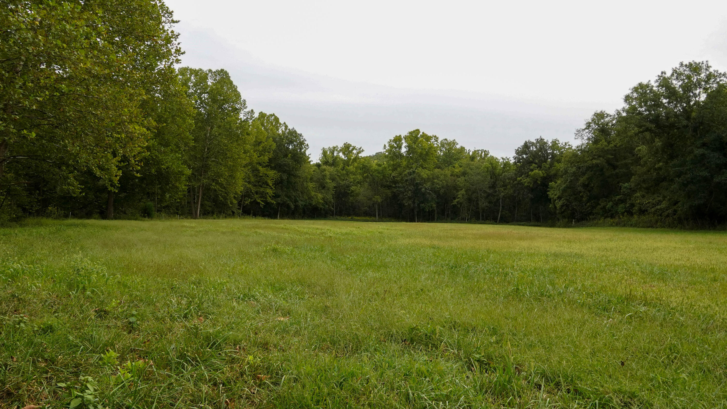 000 N State Highway 7 Property Photo 31