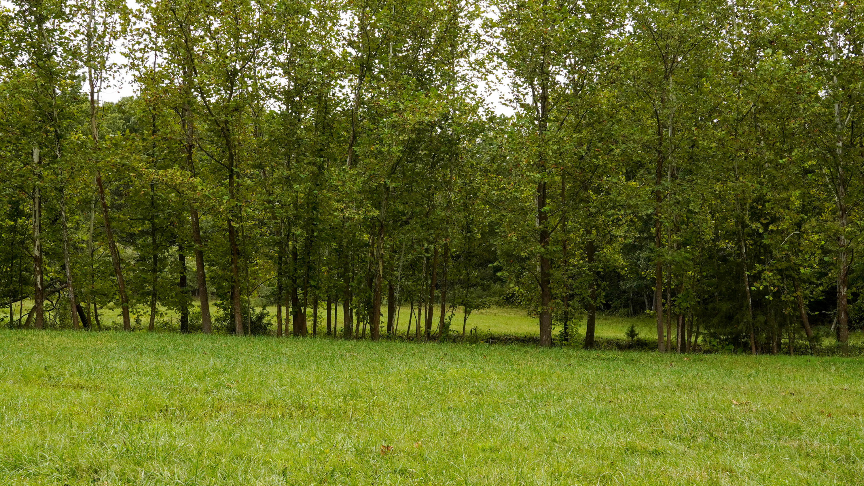 000 N State Highway 7 Property Photo 33