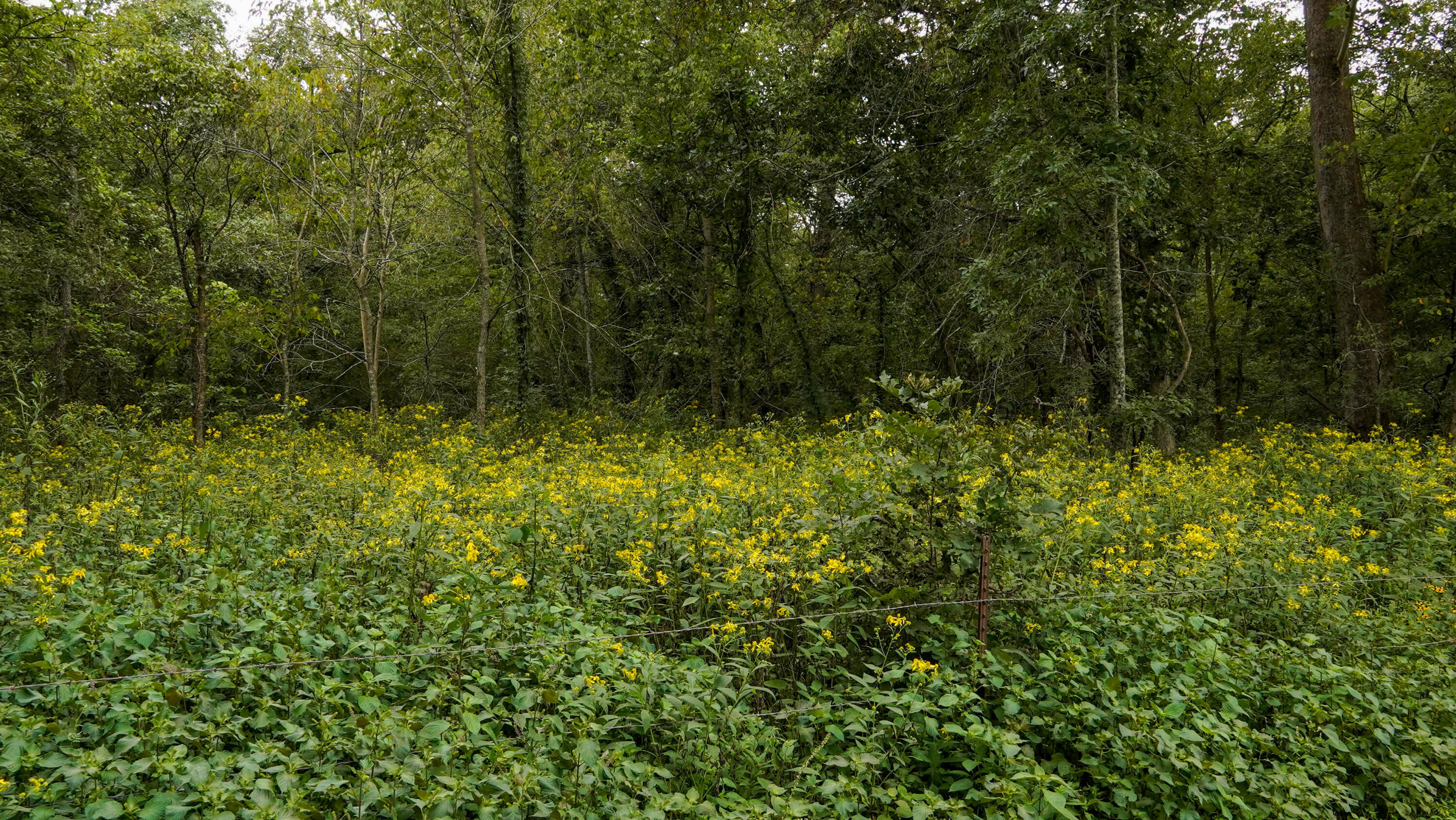 000 N State Highway 7 Property Photo 35