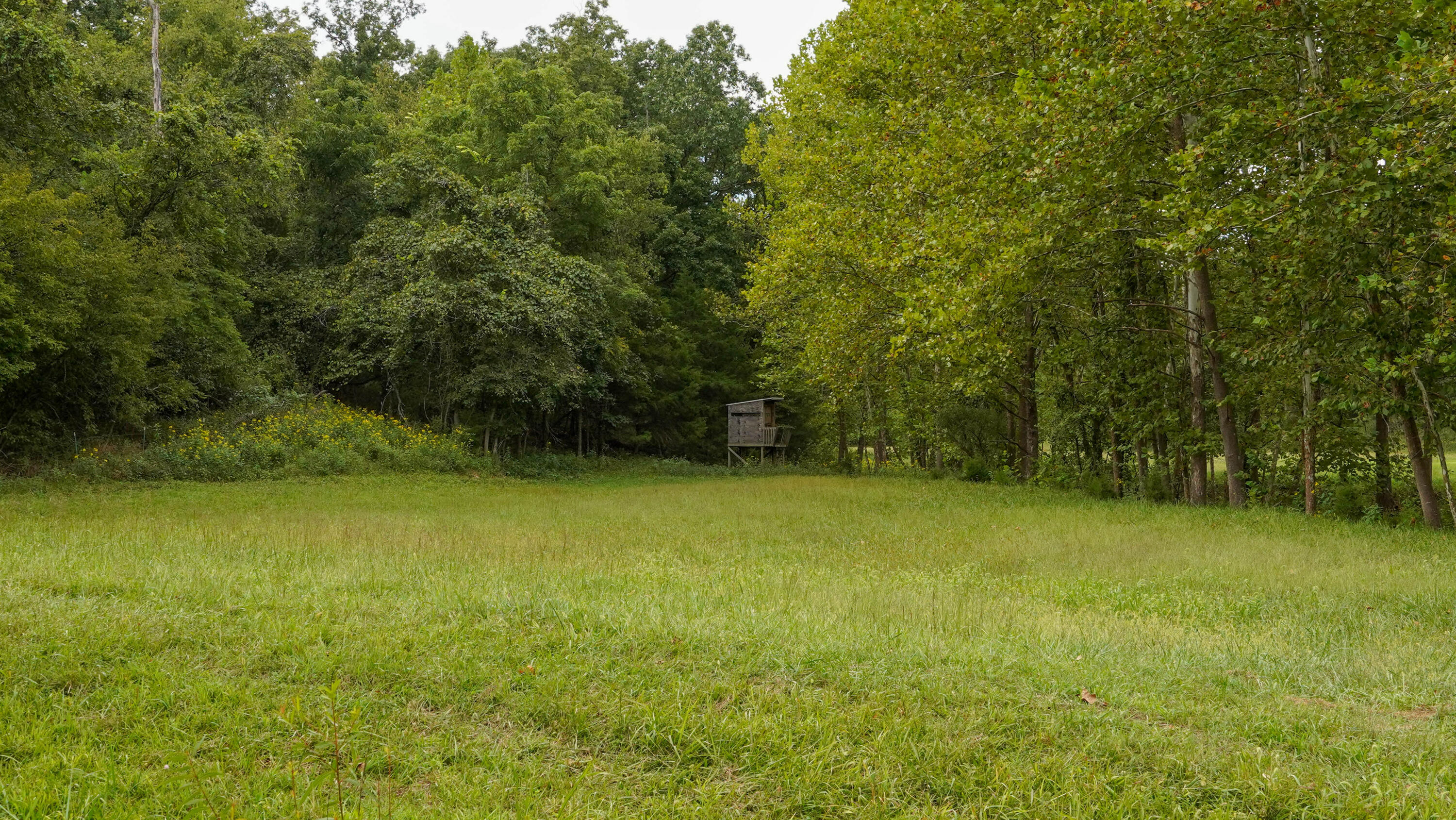 000 N State Highway 7 Property Photo 36