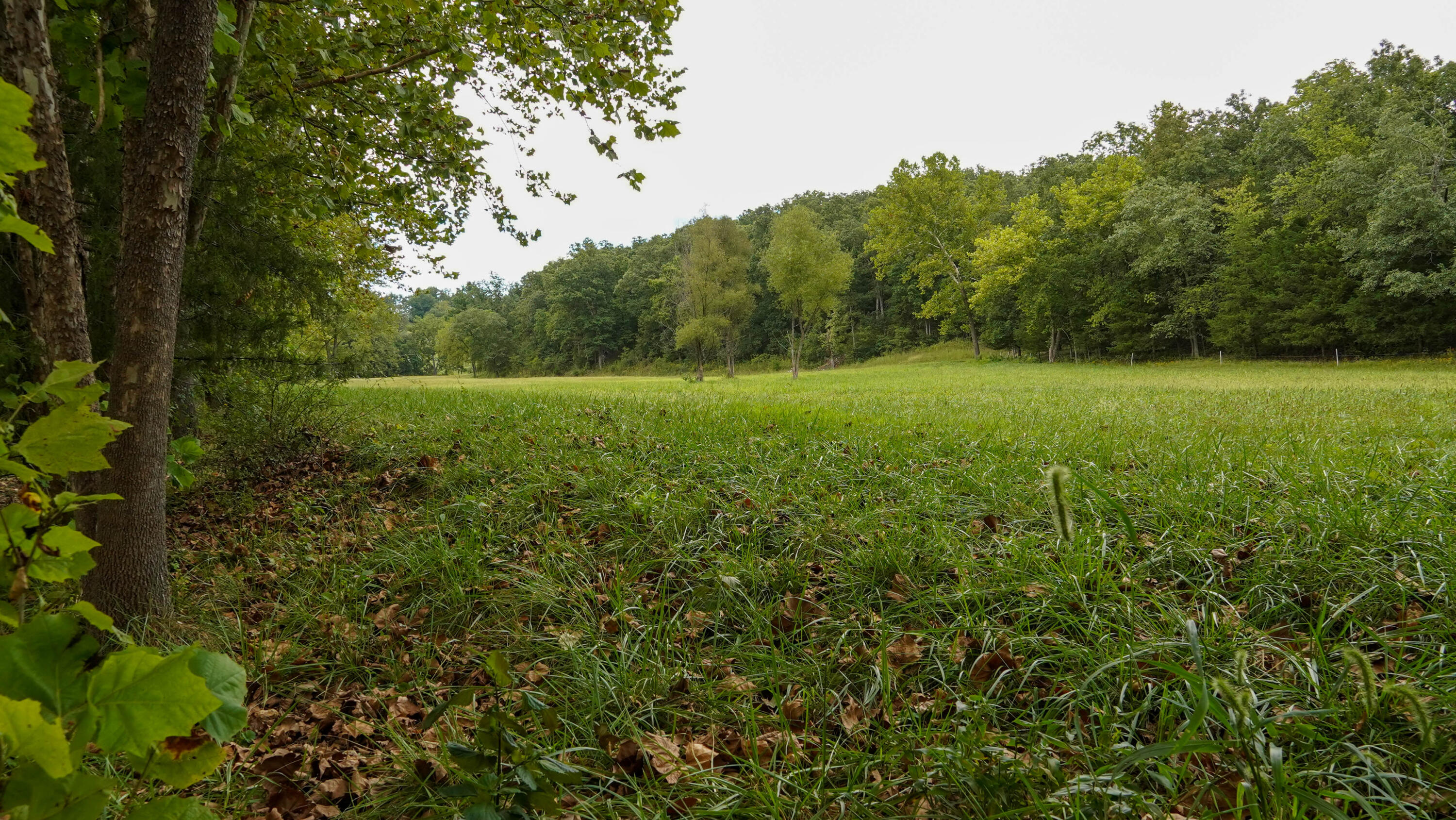 000 N State Highway 7 Property Photo 37