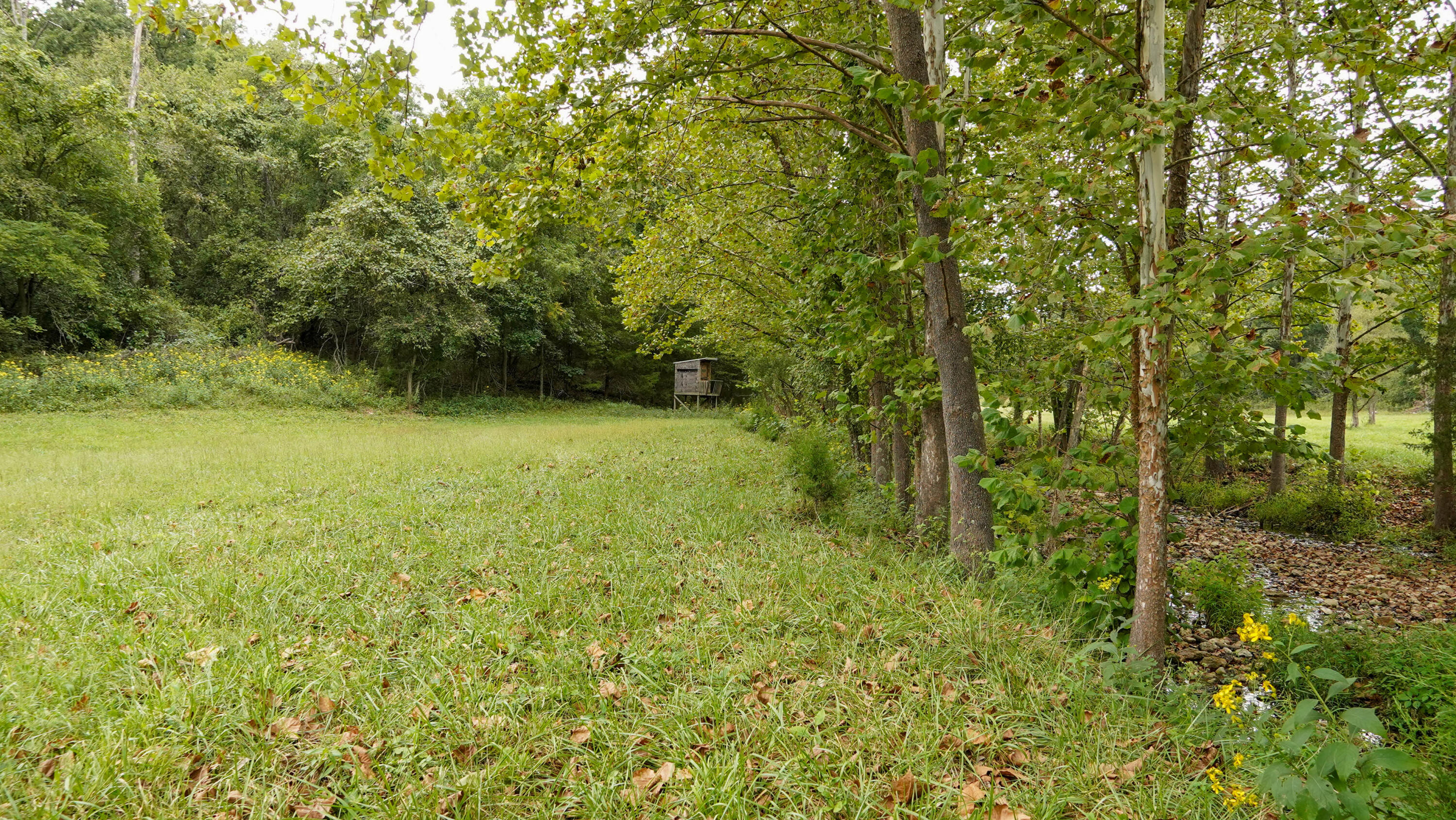 000 N State Highway 7 Property Photo 38
