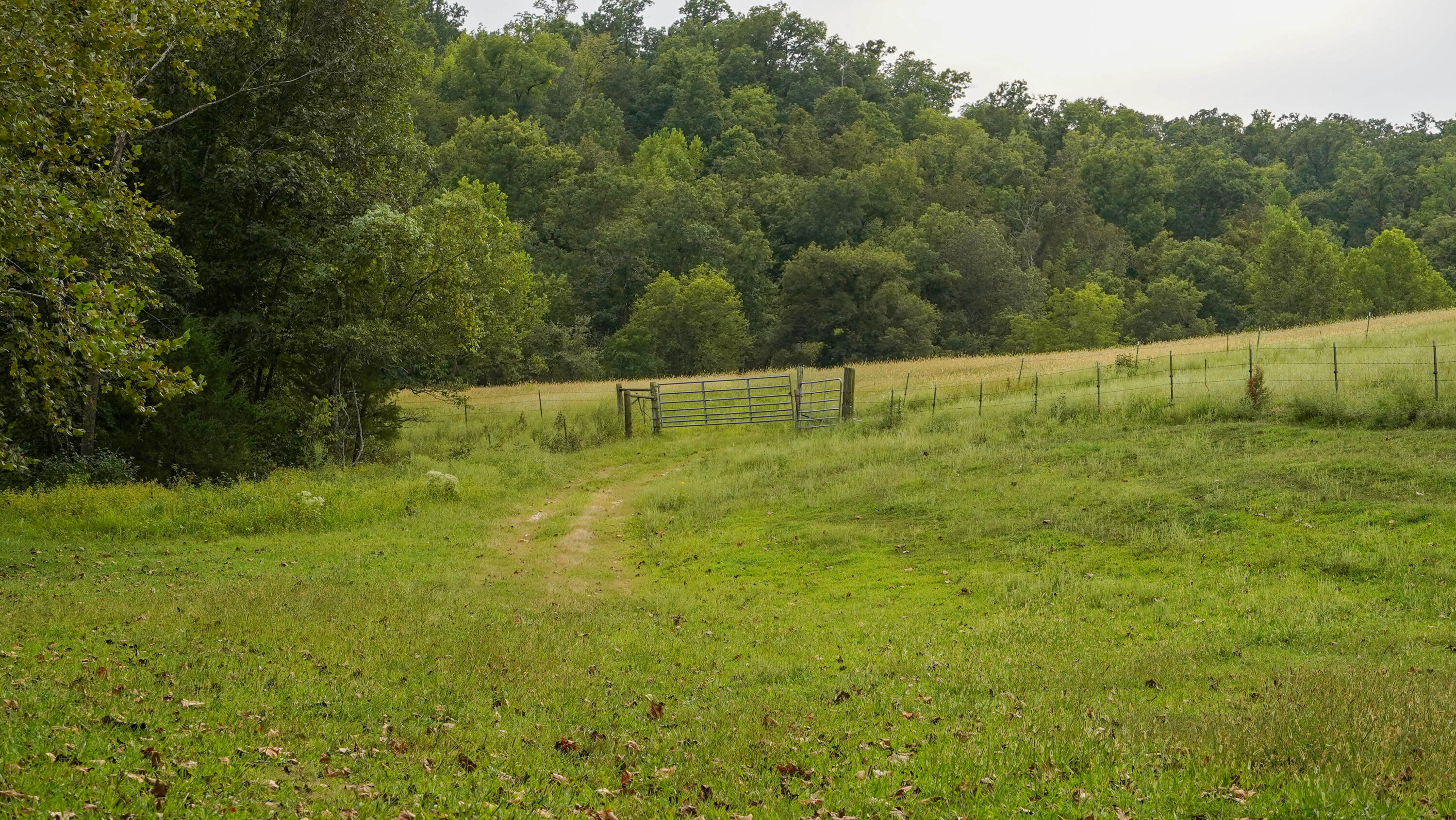 000 N State Highway 7 Property Photo 42