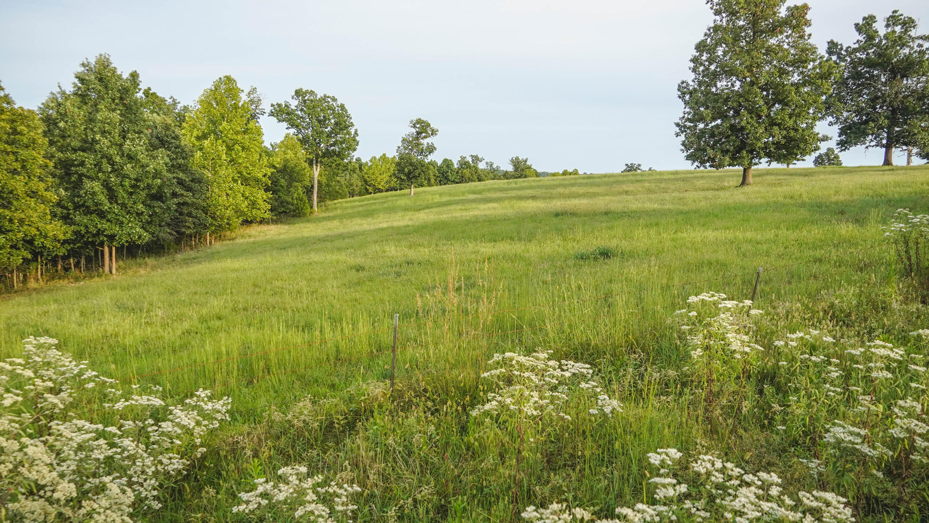 000 N State Highway 7 Property Photo 43