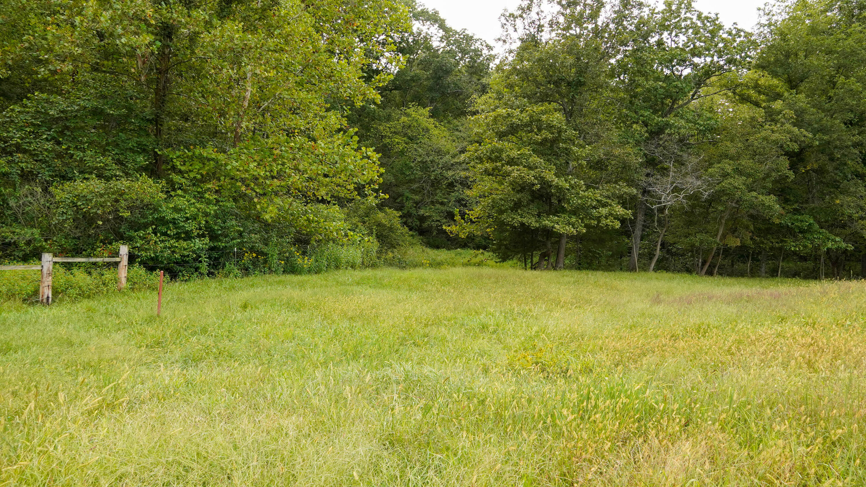000 N State Highway 7 Property Photo 47