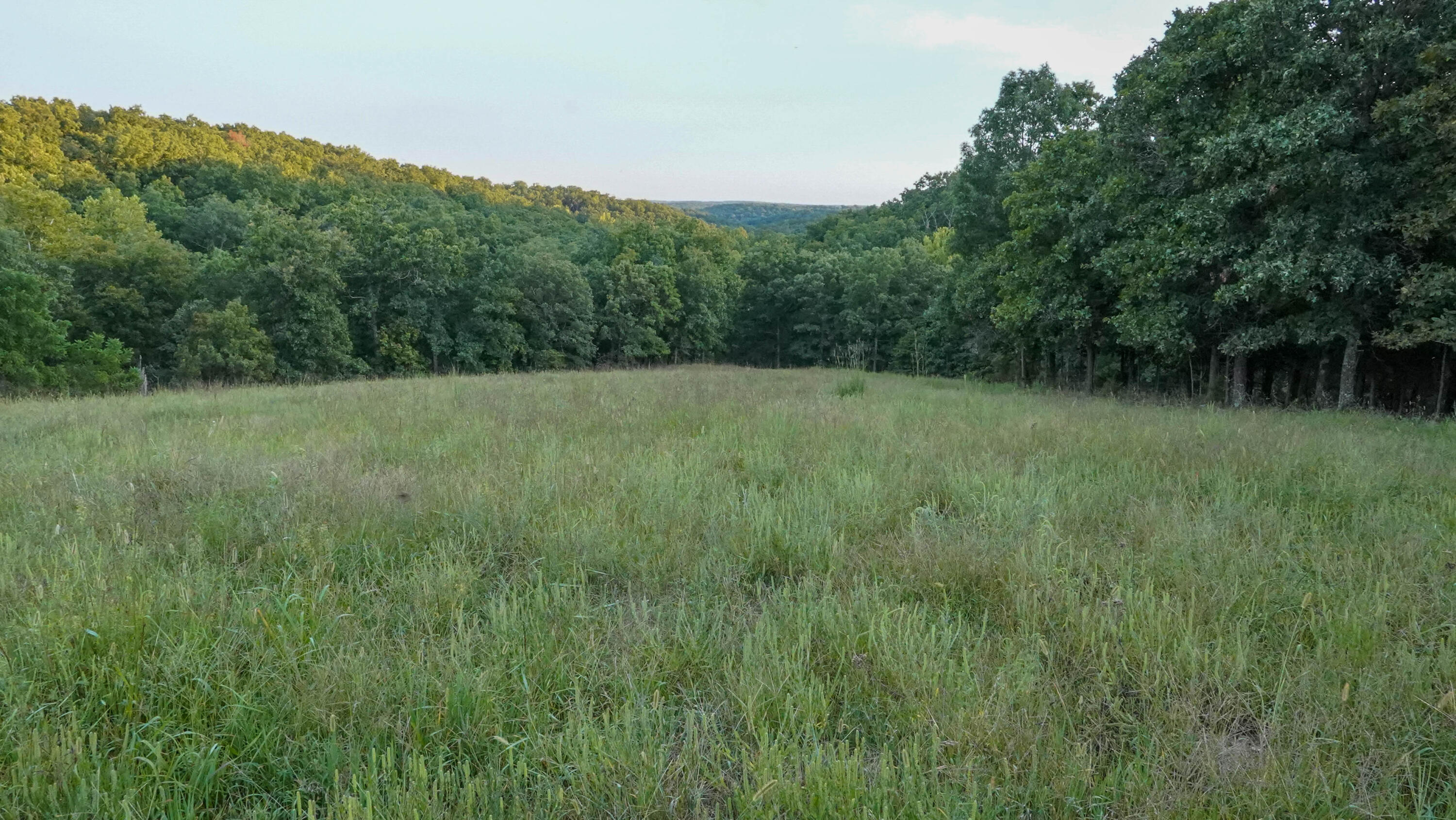 000 N State Highway 7 Property Photo 48