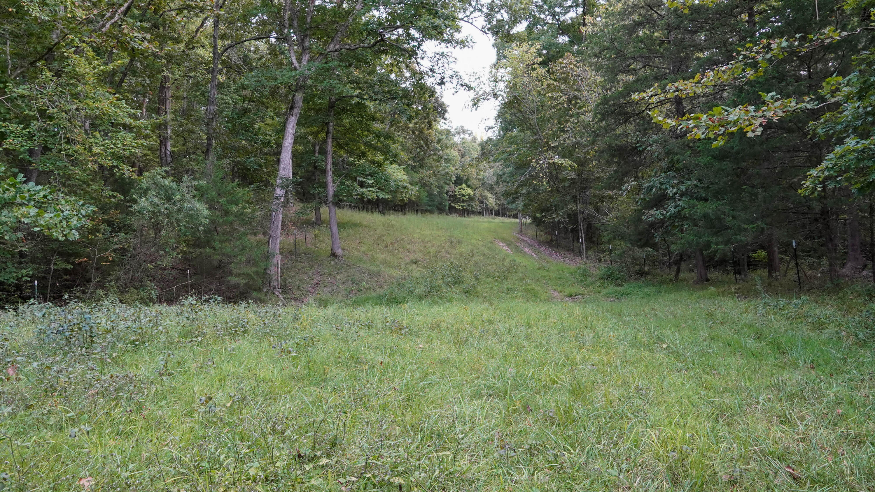000 N State Highway 7 Property Photo 52