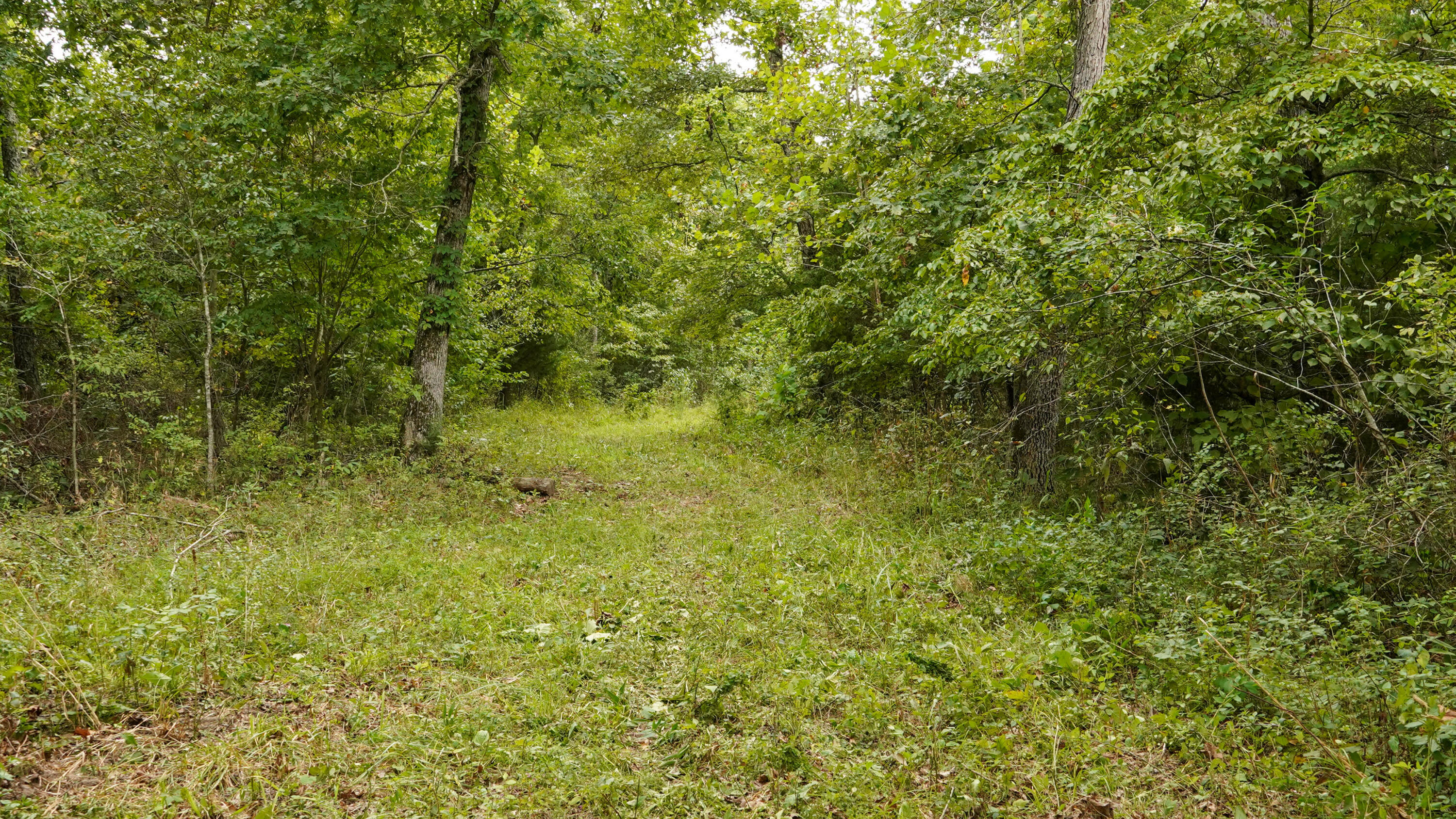 000 N State Highway 7 Property Photo 53
