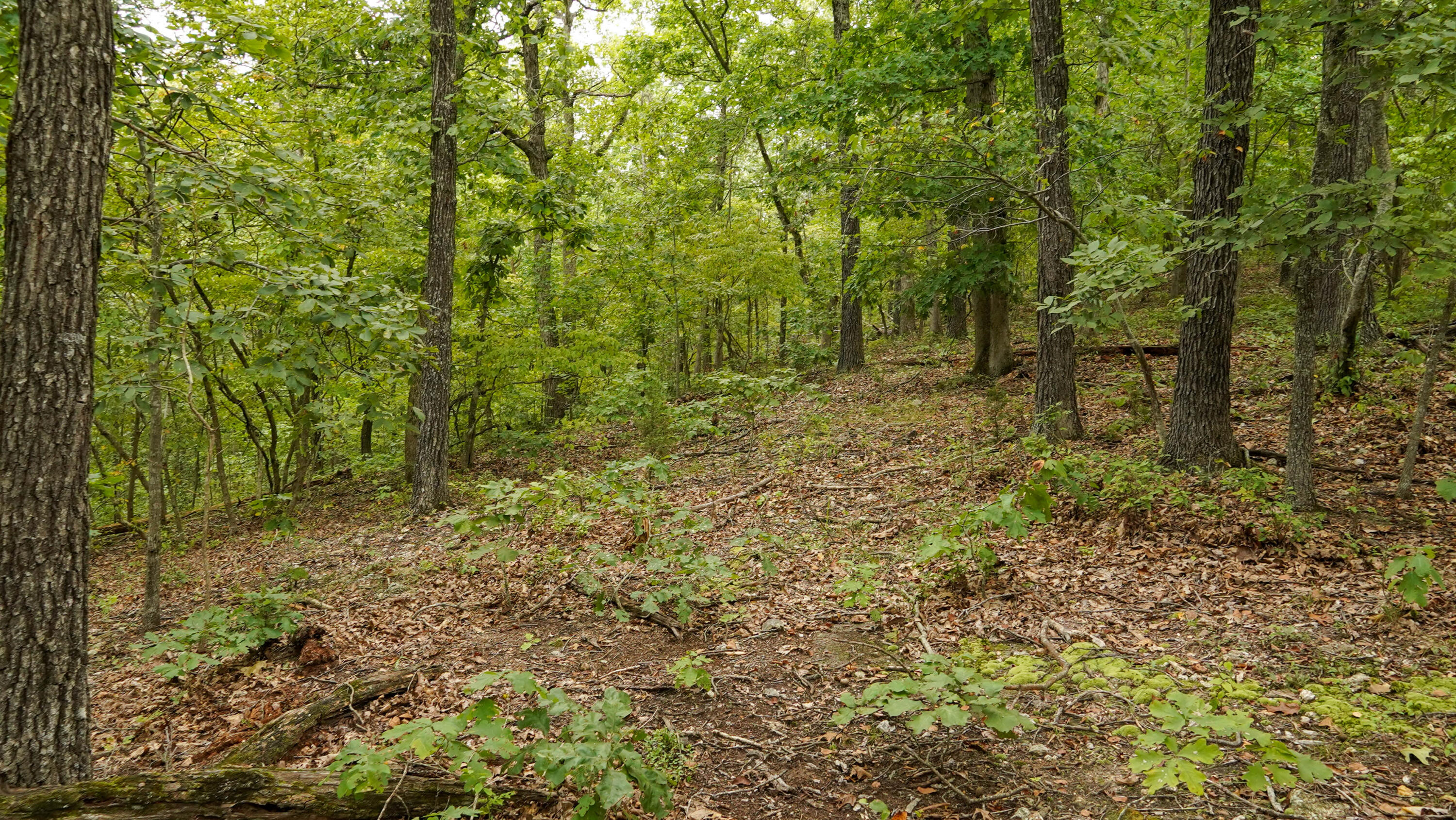 000 N State Highway 7 Property Photo 55