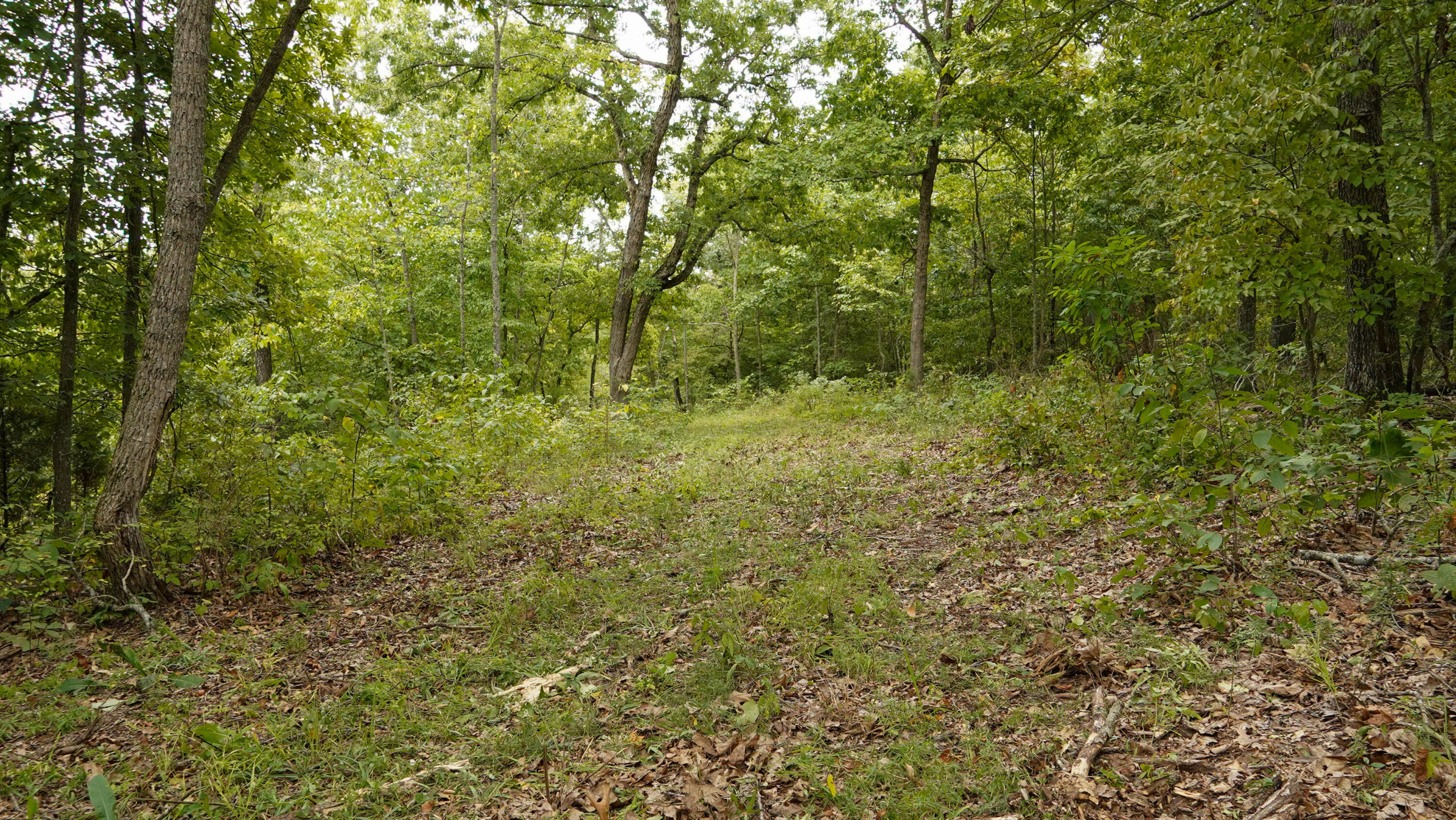 000 N State Highway 7 Property Photo 56