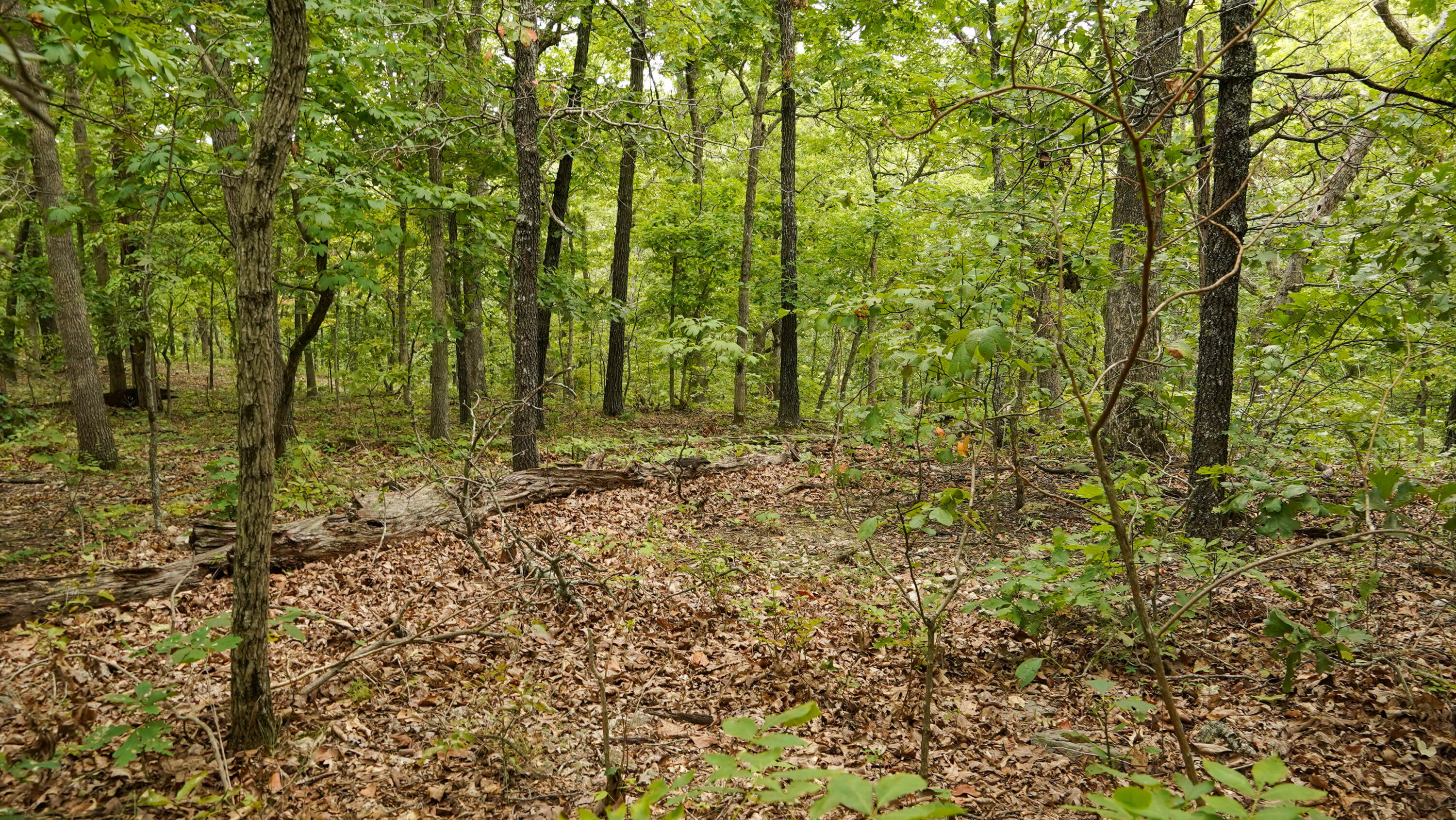 000 N State Highway 7 Property Photo 57