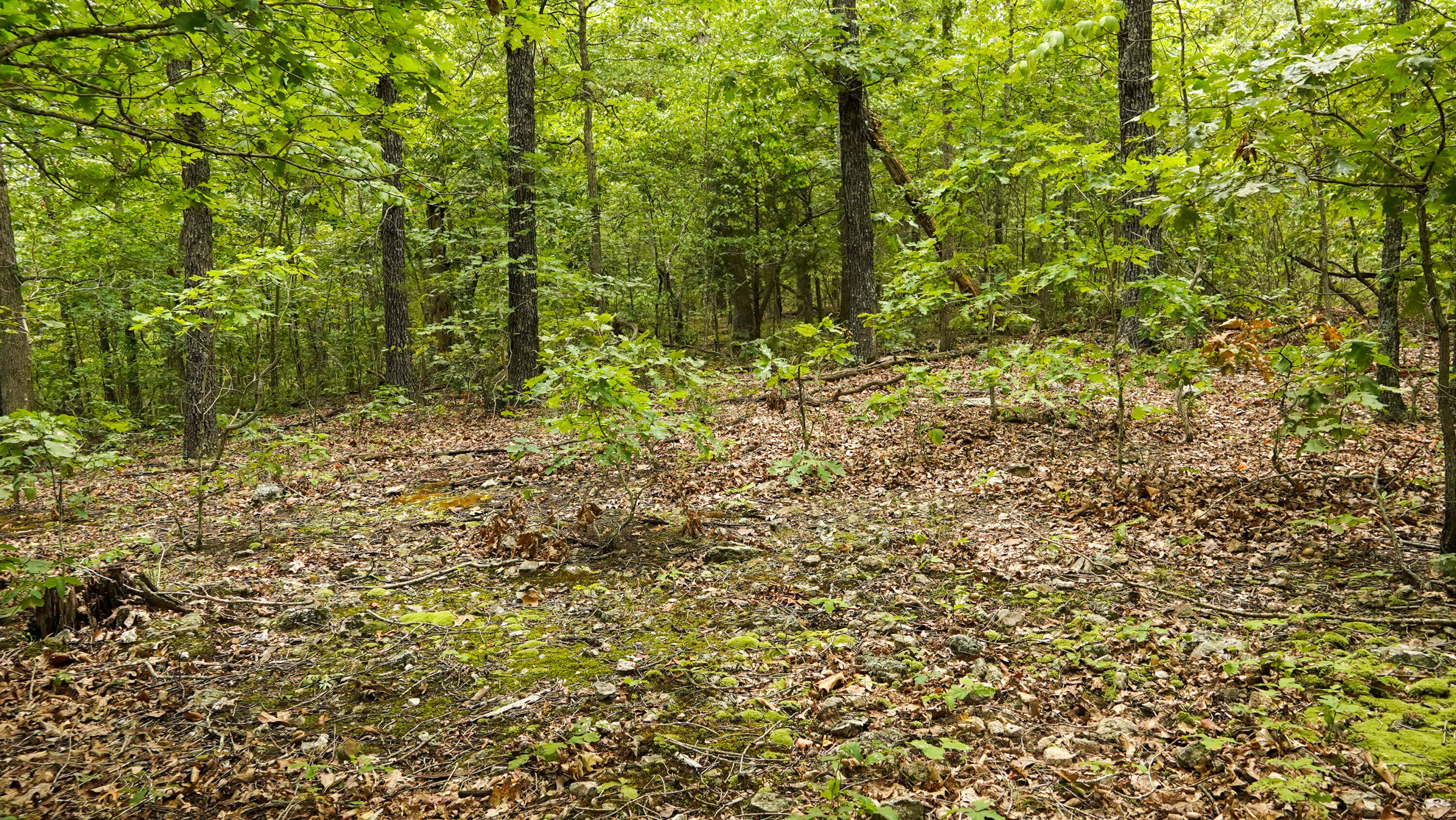 000 N State Highway 7 Property Photo 58