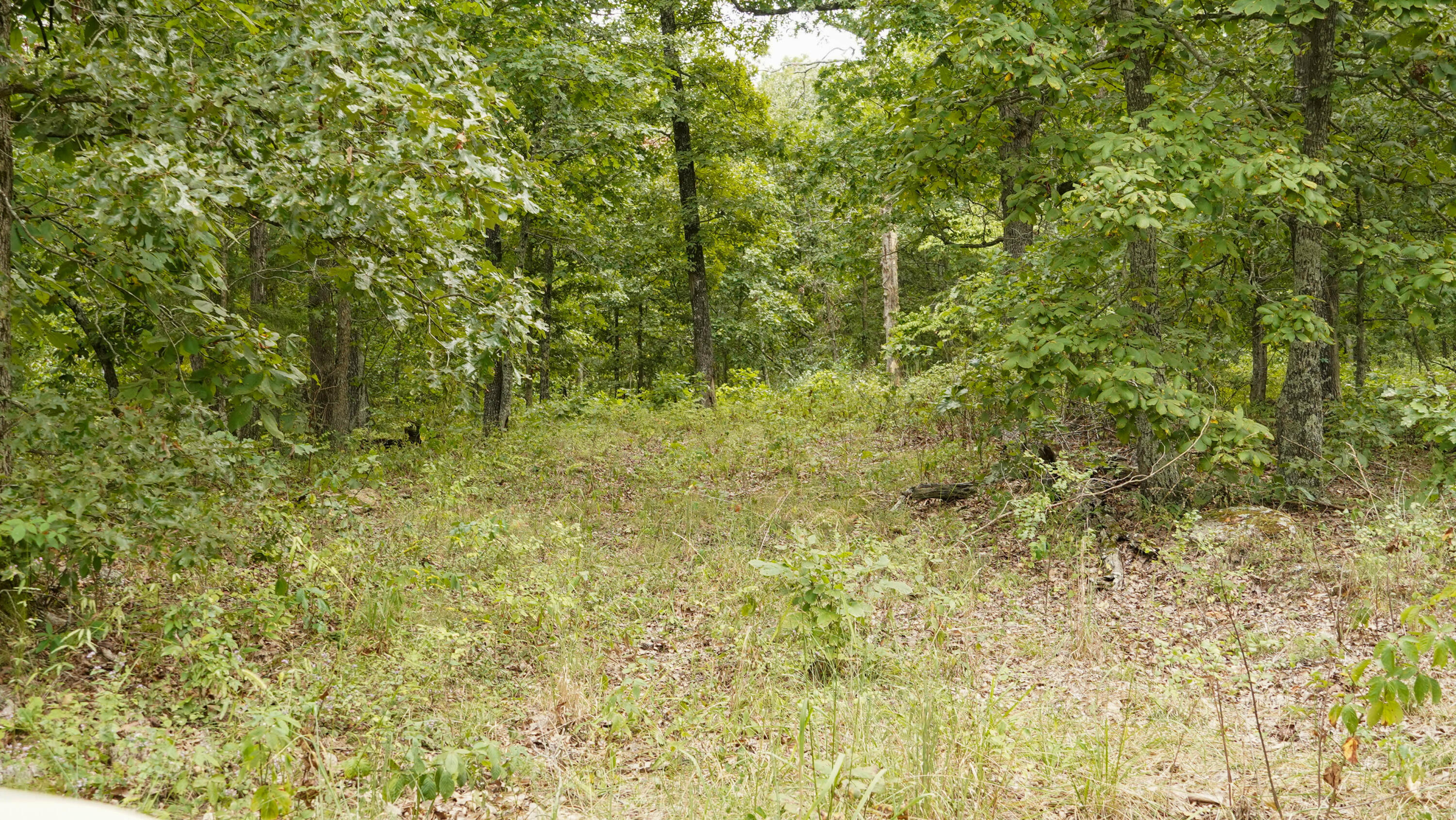 000 N State Highway 7 Property Photo 62