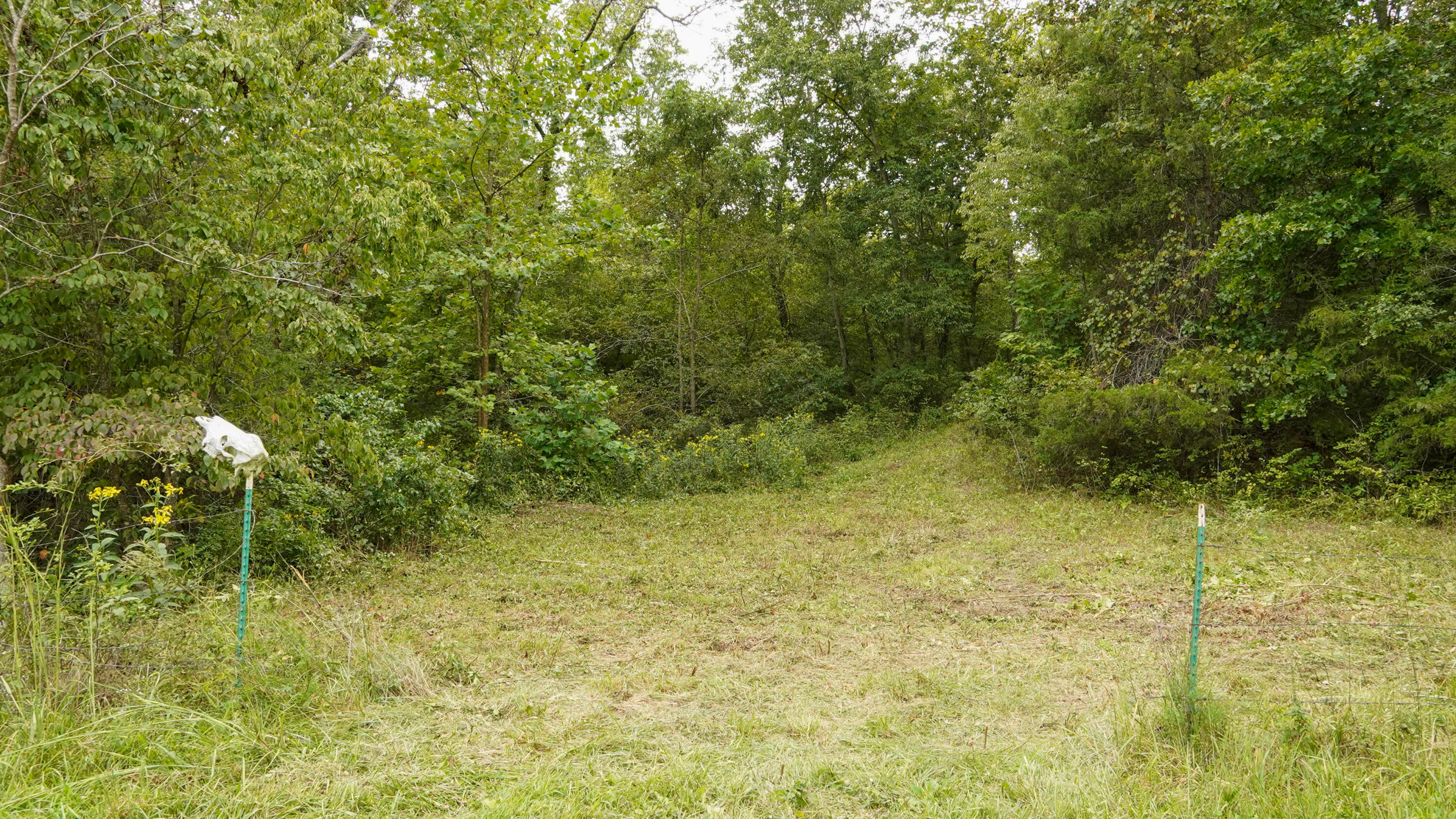 000 N State Highway 7 Property Photo 63