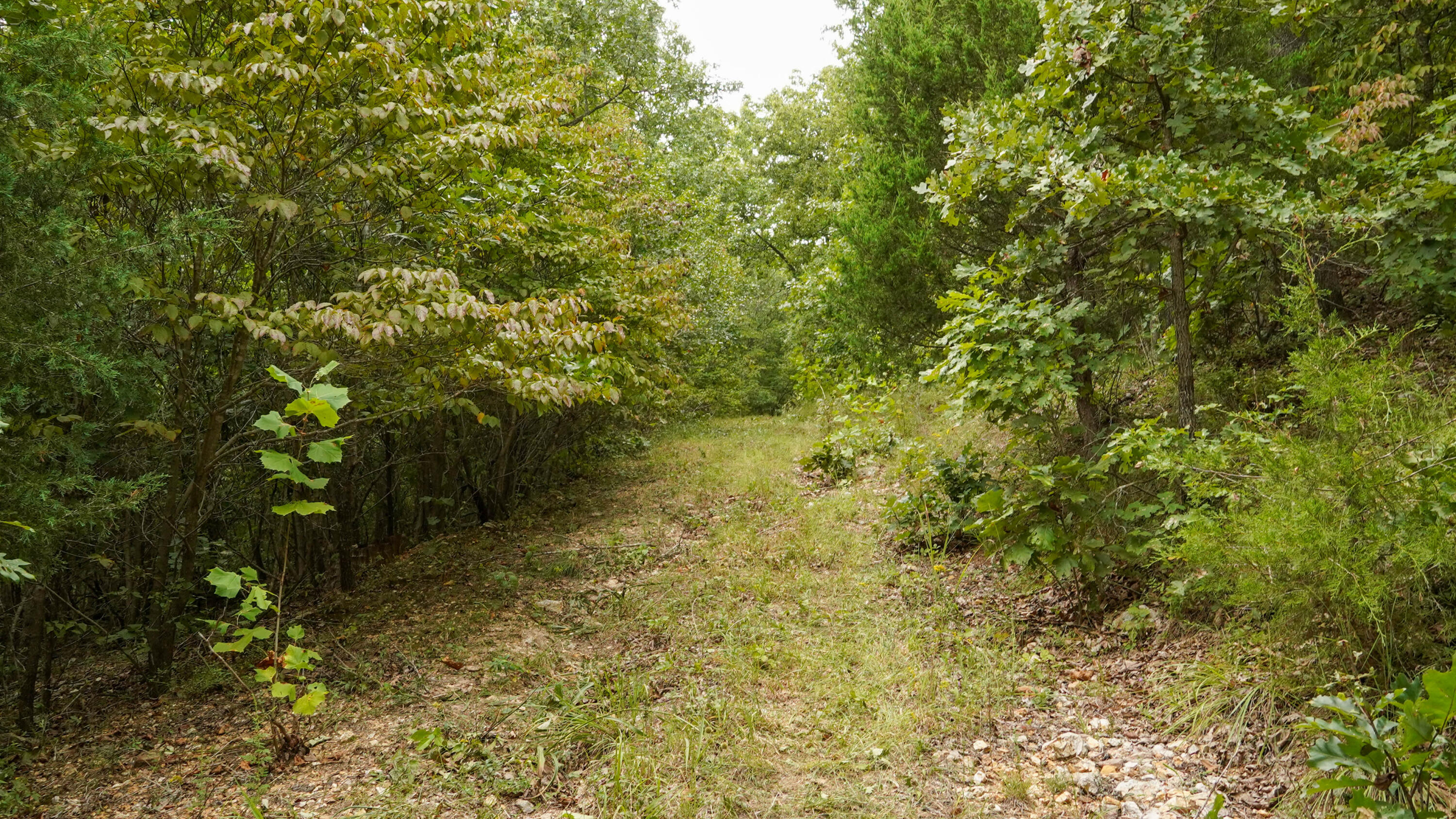 000 N State Highway 7 Property Photo 64