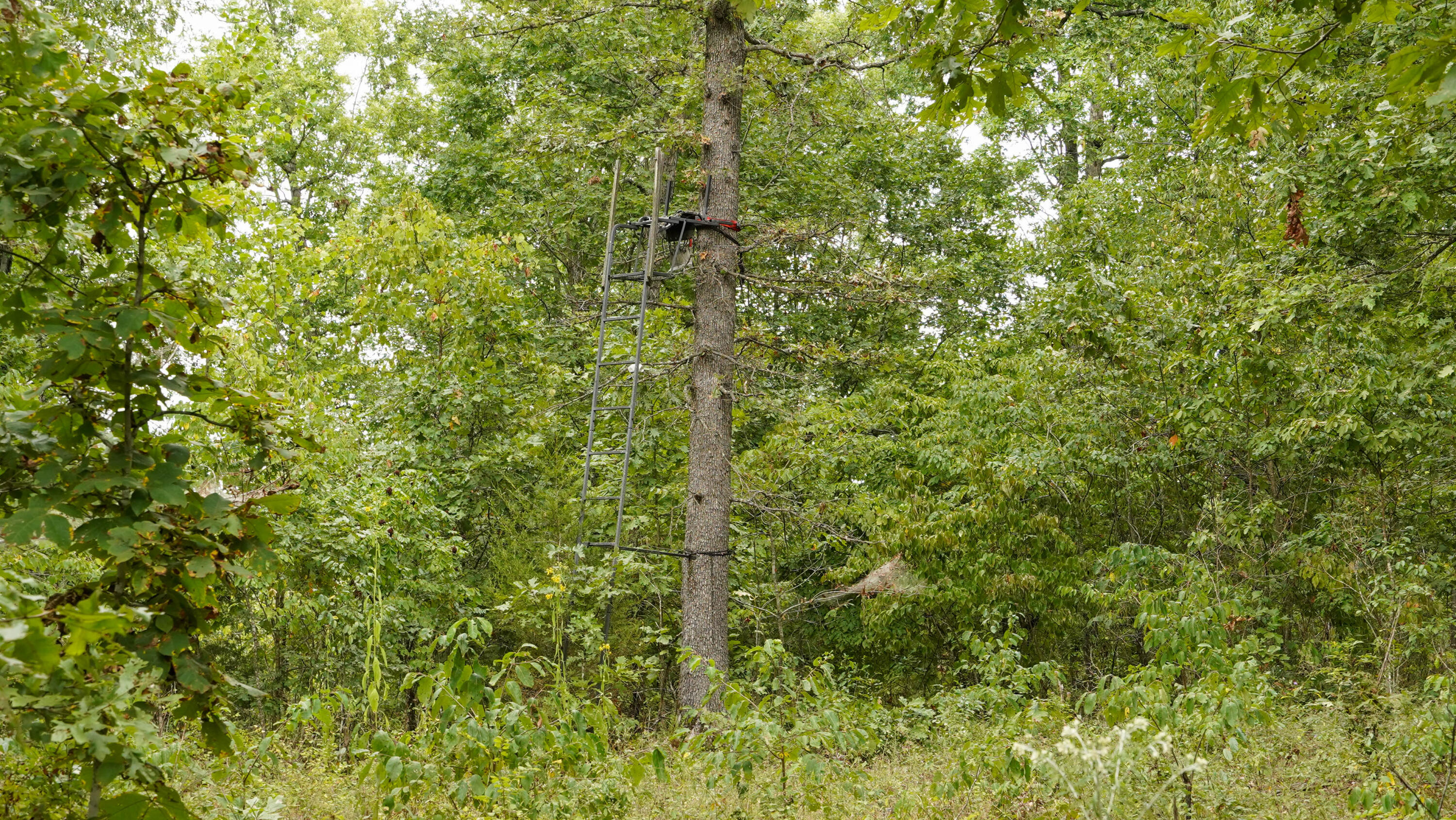 000 N State Highway 7 Property Photo 65