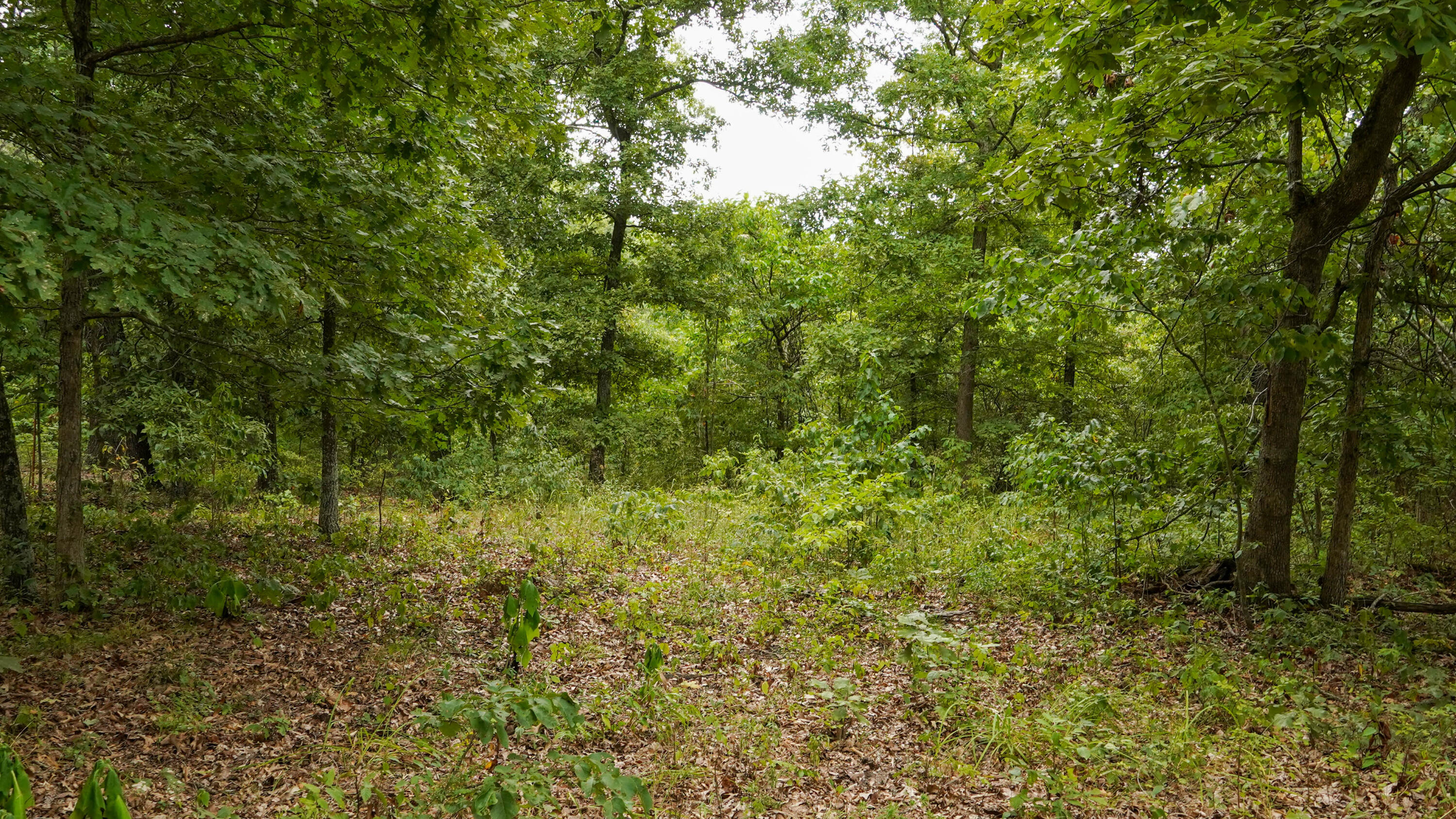000 N State Highway 7 Property Photo 66