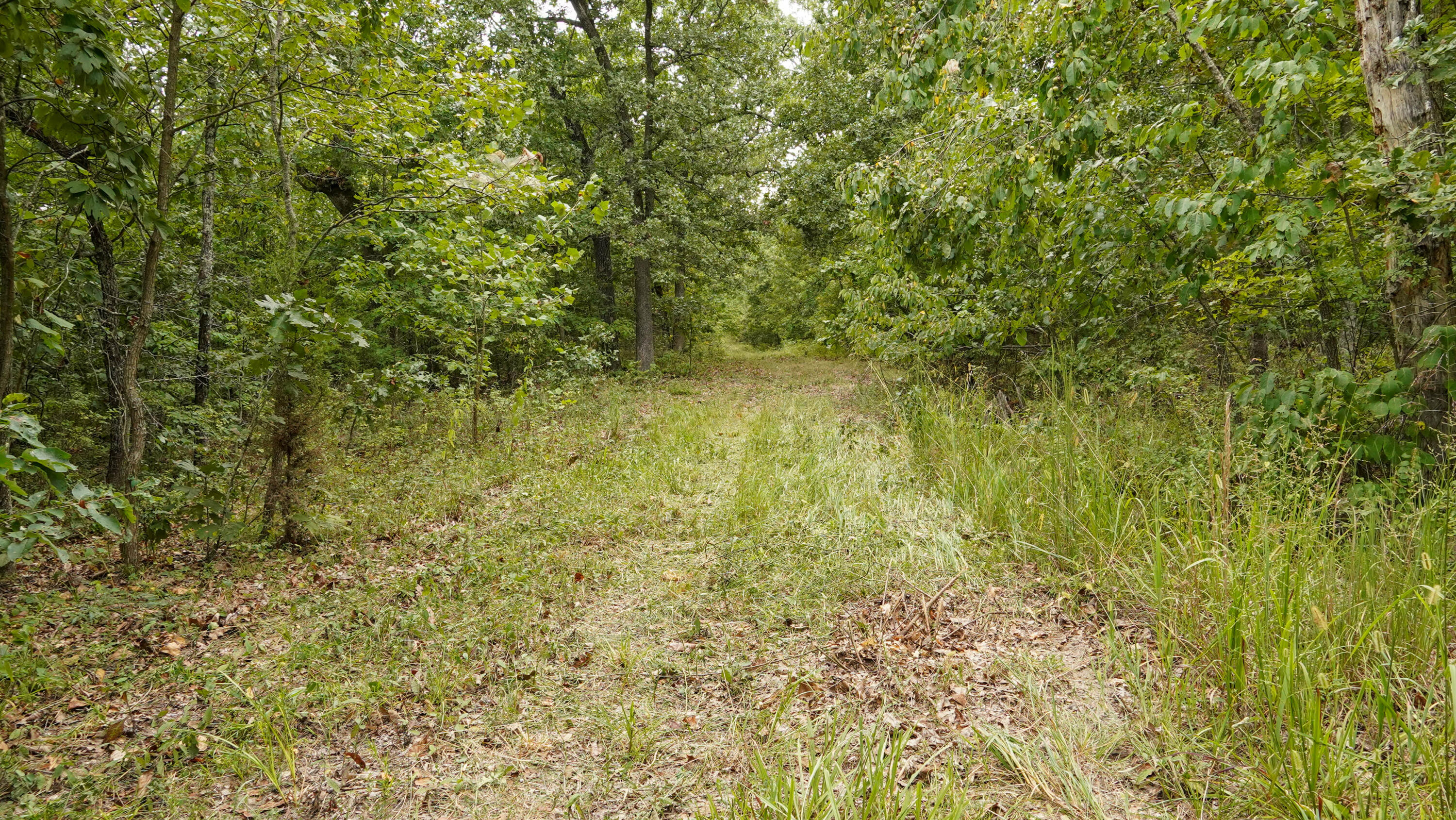 000 N State Highway 7 Property Photo 67