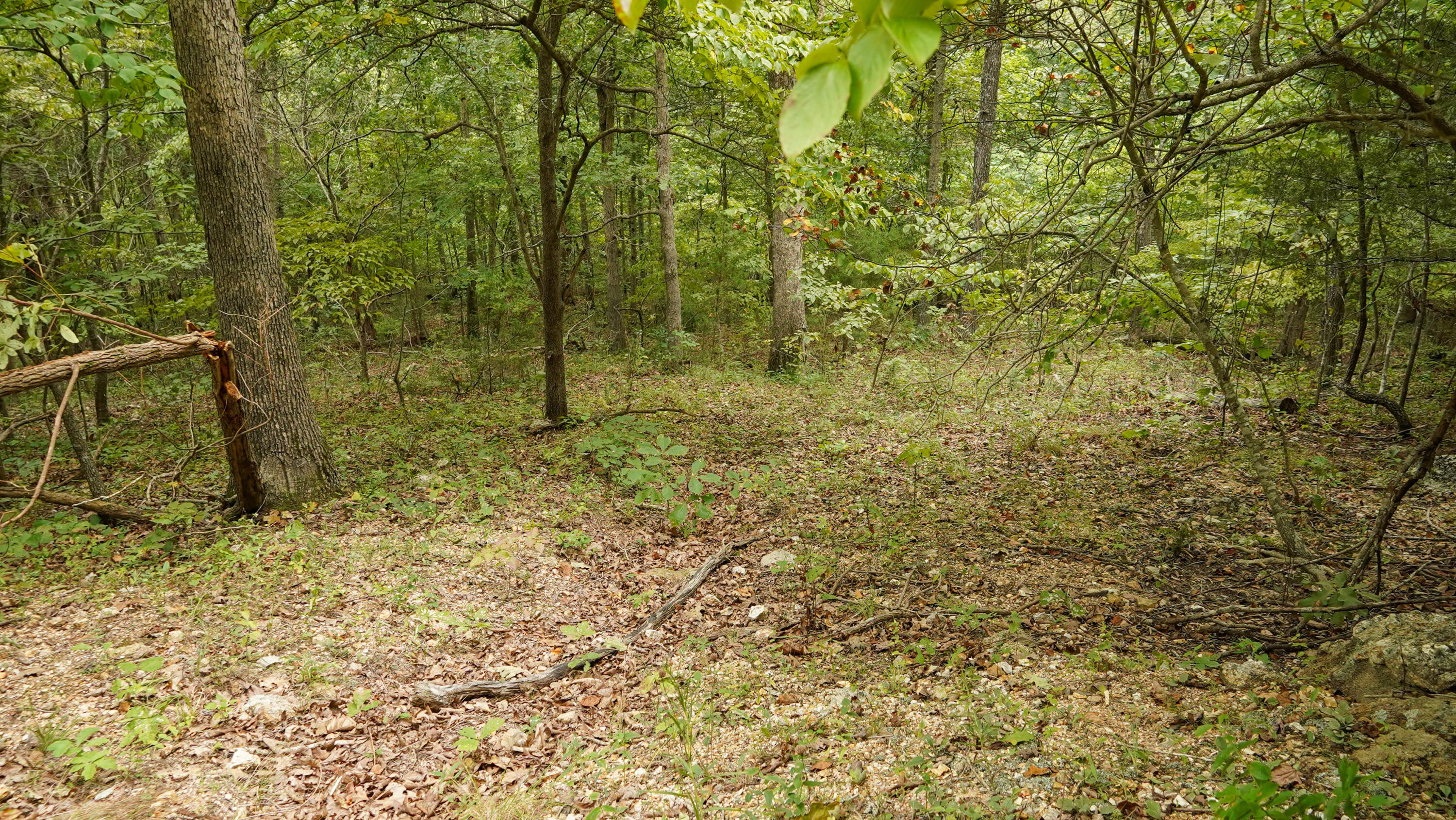 000 N State Highway 7 Property Photo 71