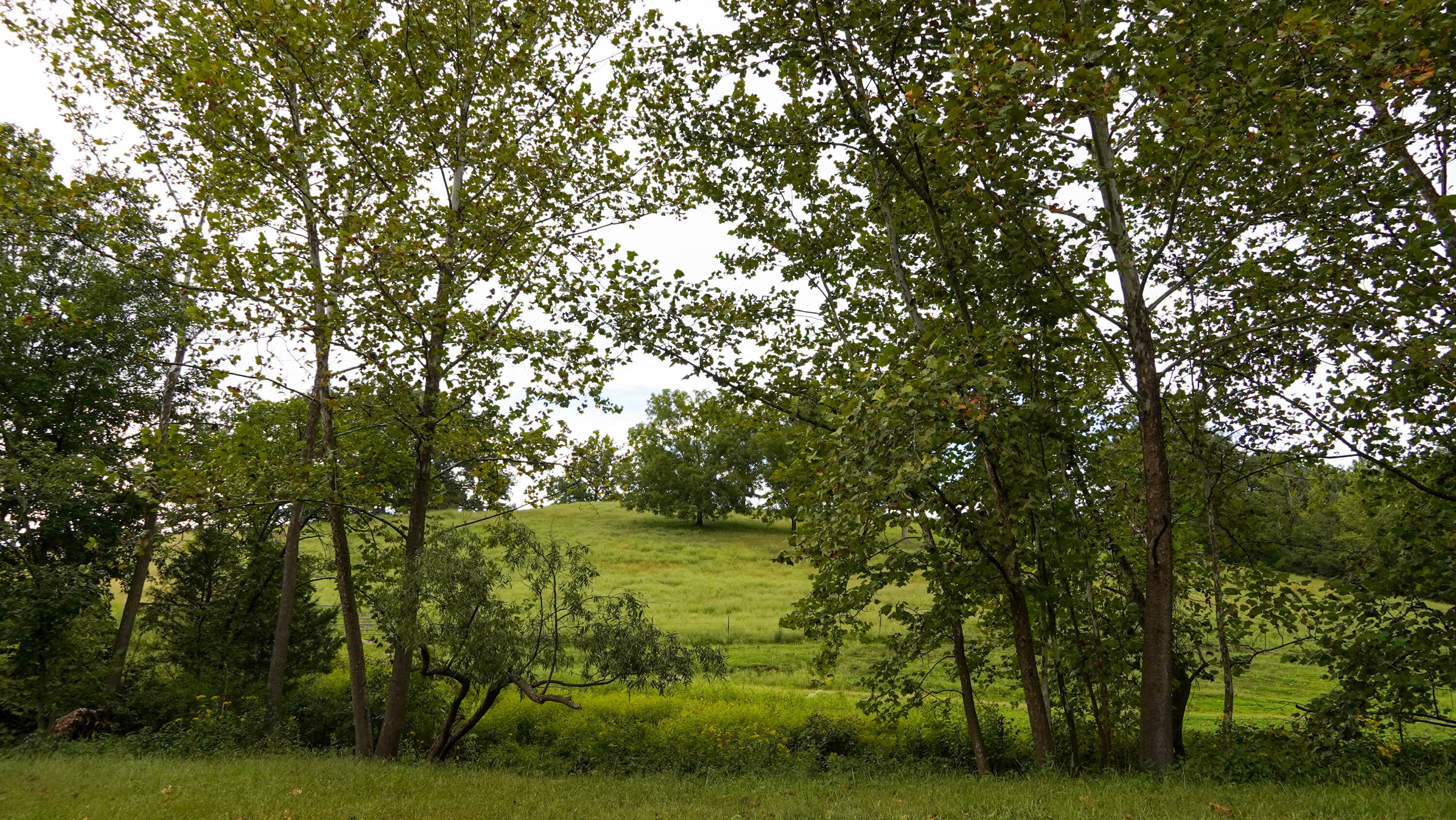 000 N State Highway 7 Property Photo 74